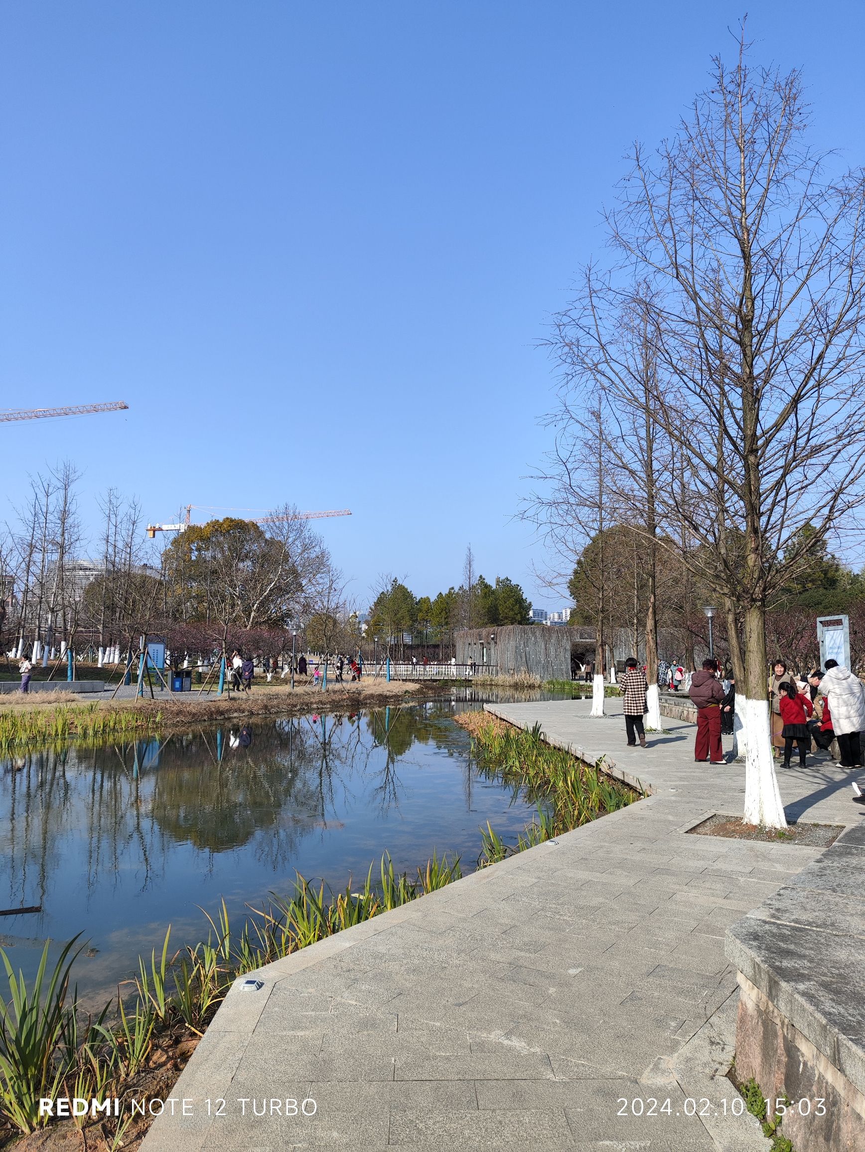 梅园旅行图片 2