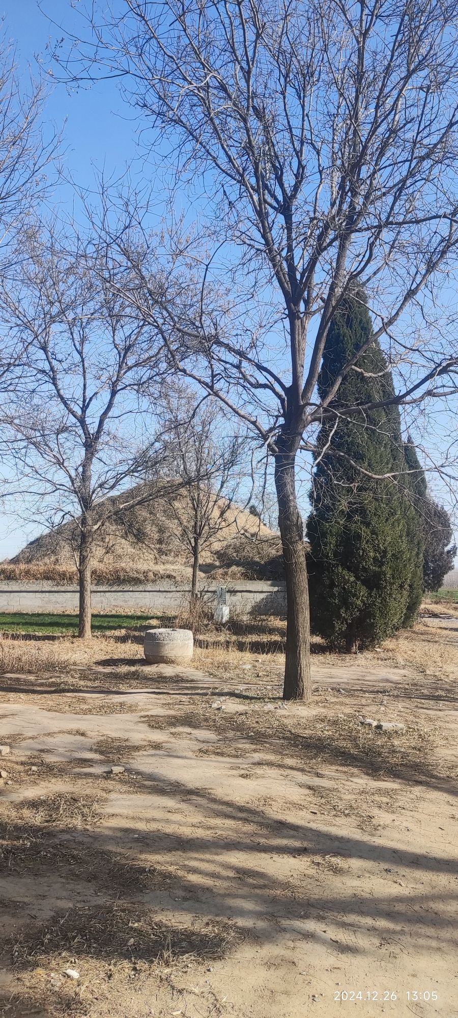 仓颉墓旅行图片 1