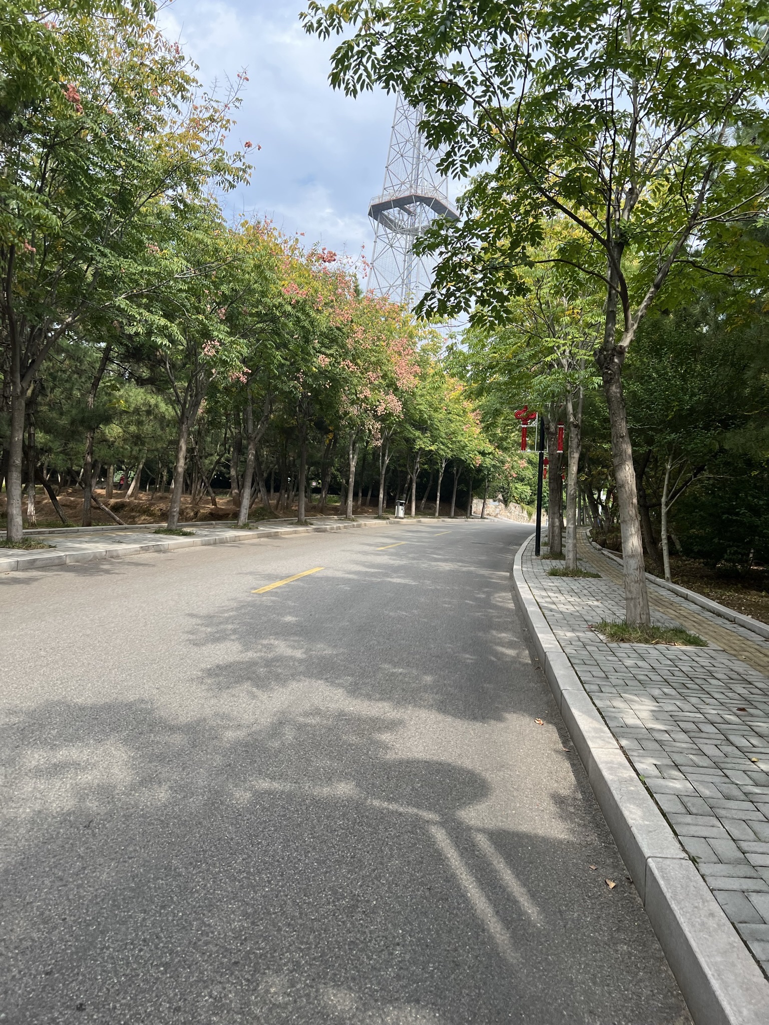 金碃岭体育公园旅行图片 3