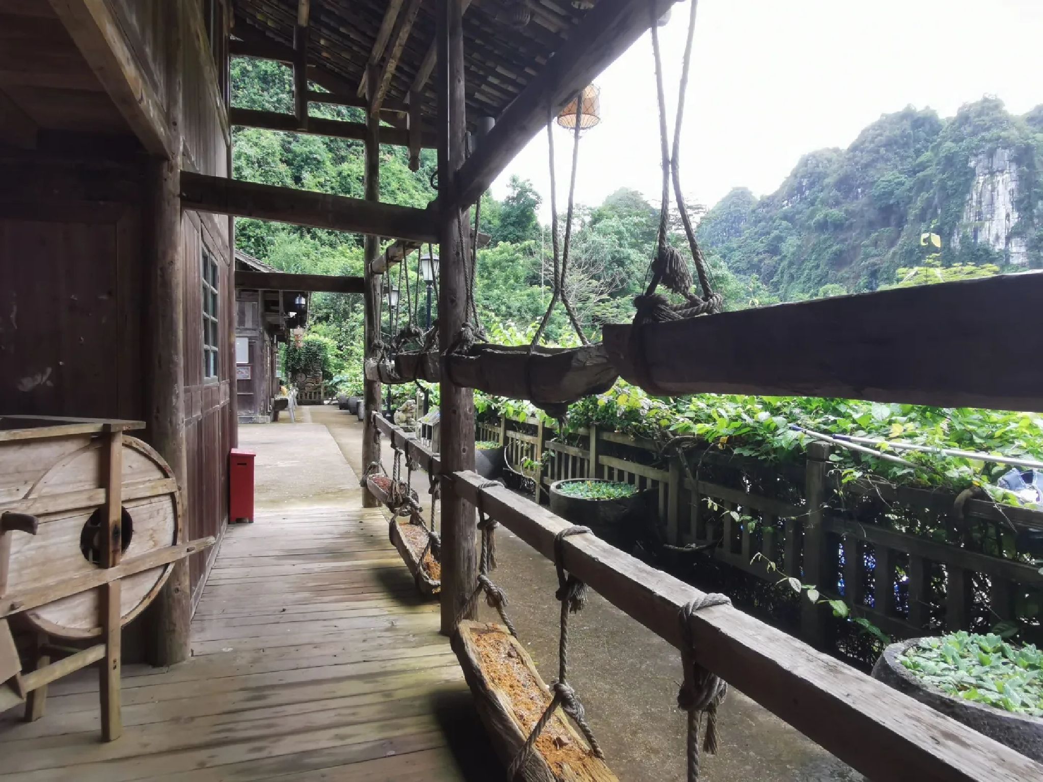 龙州老木棉发现·弄岗景区旅行图片 1