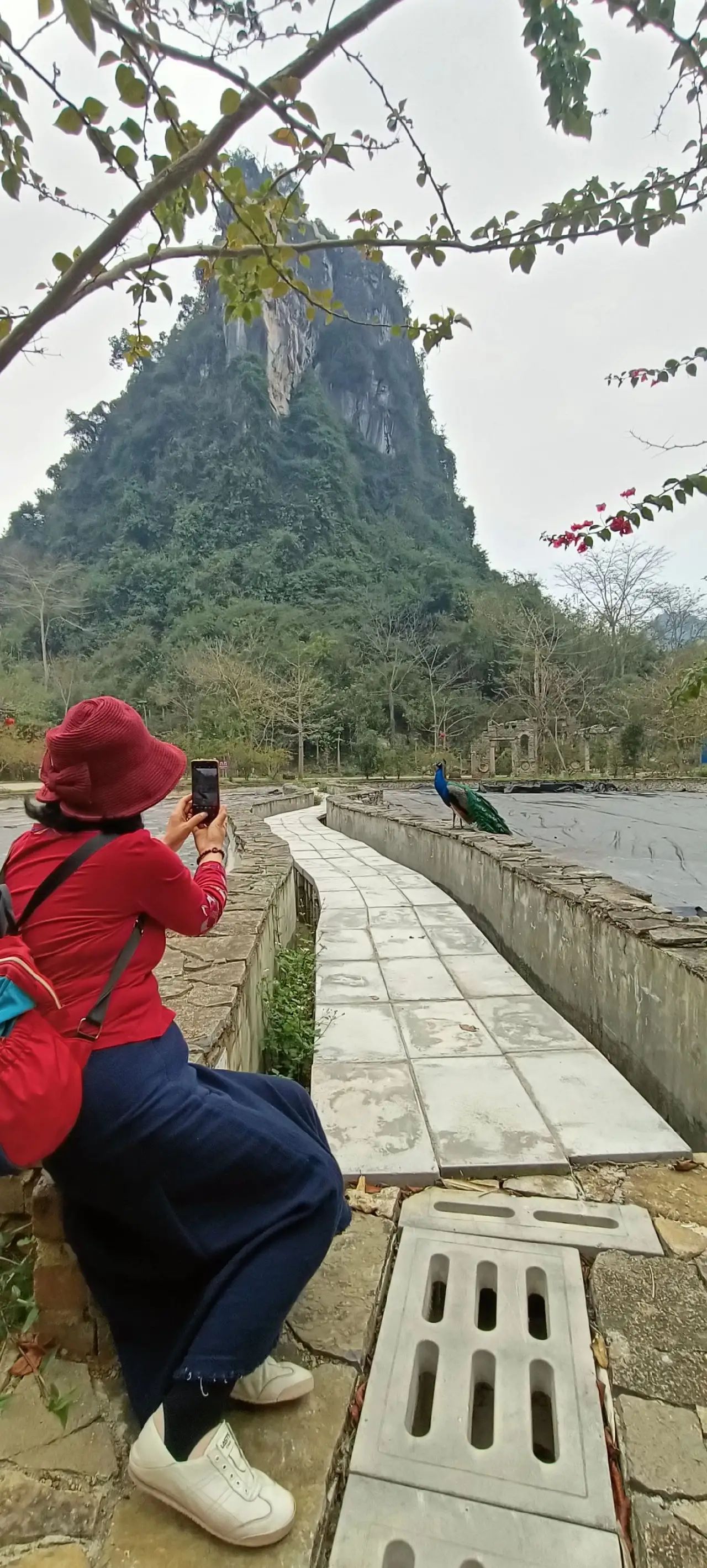 龙州老木棉发现·弄岗景区旅行图片 2