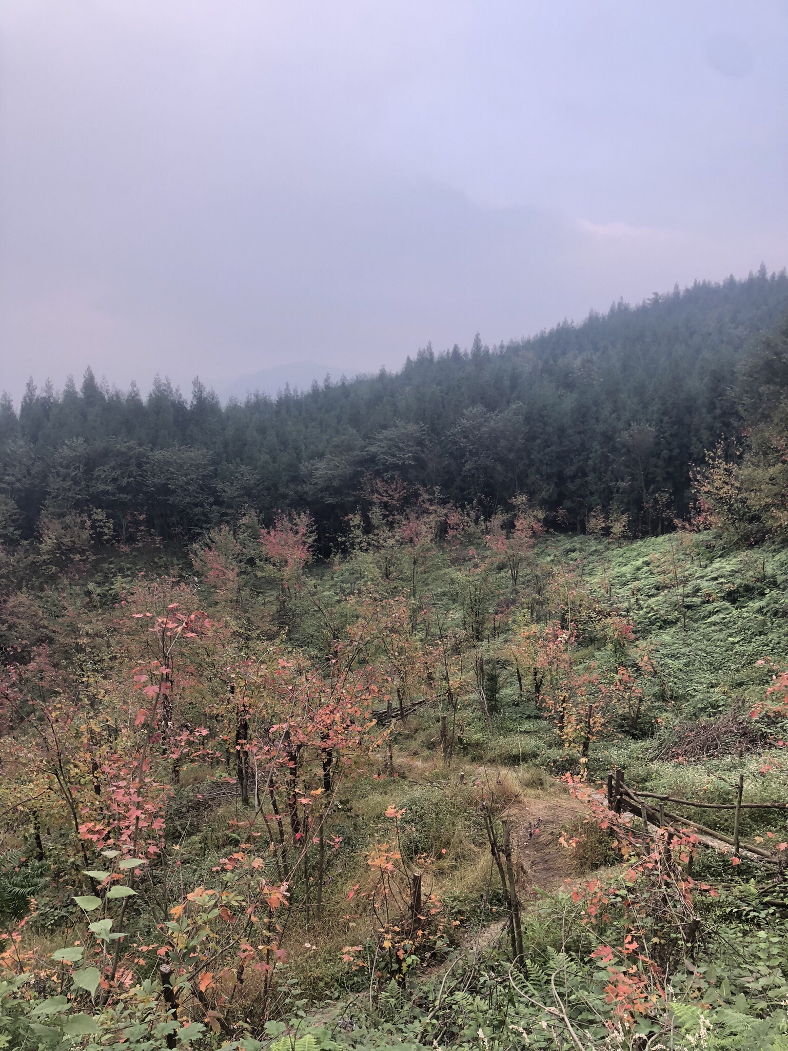 川西红枫岭旅行图片 2