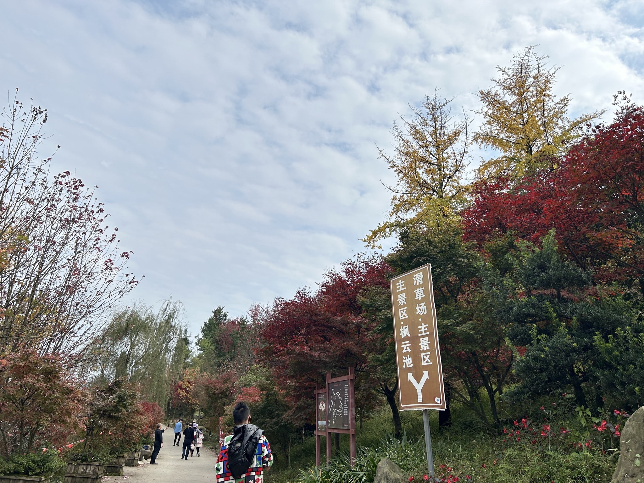 川西红枫岭旅行图片 1