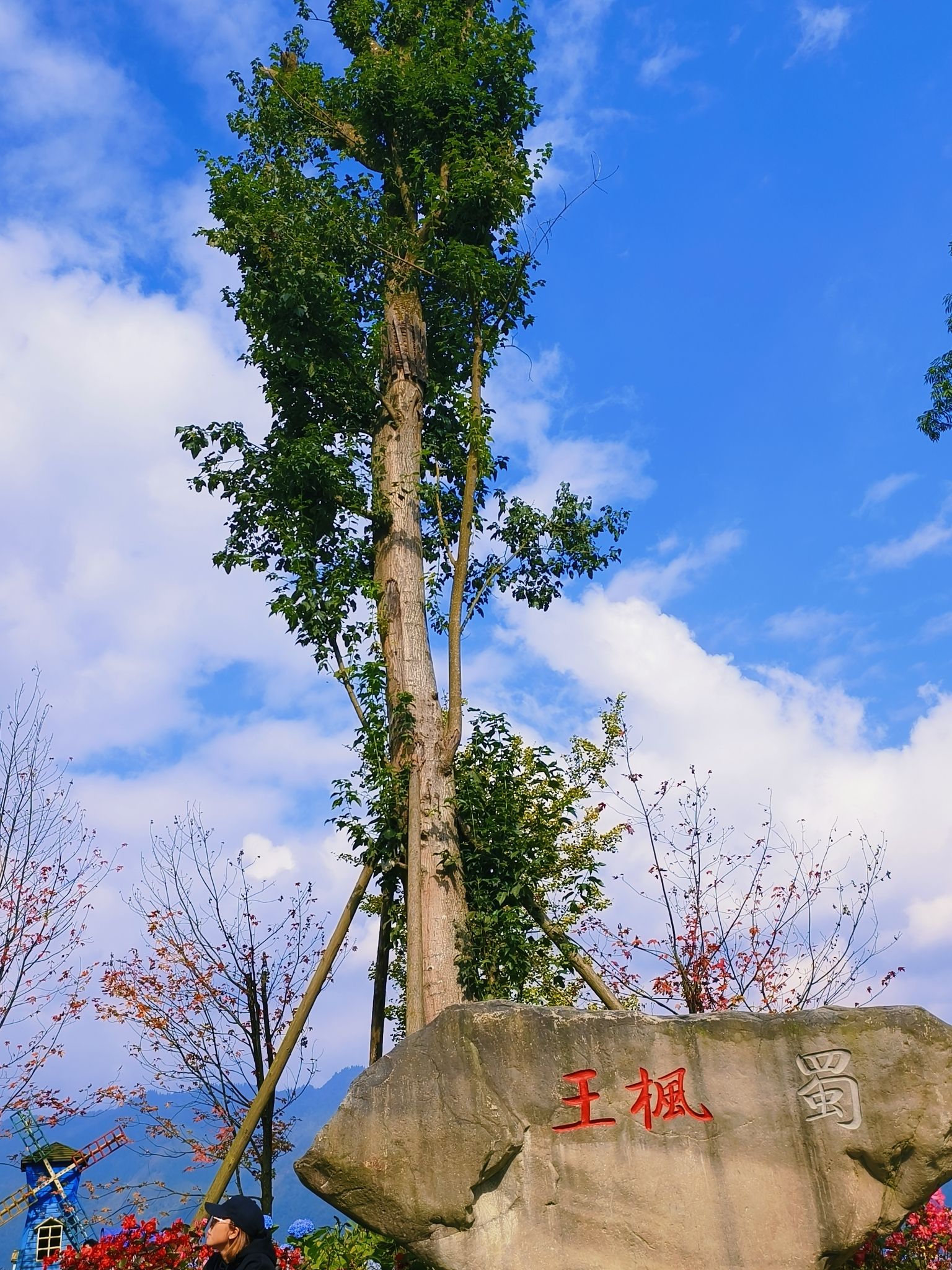 川西红枫岭旅行图片 1