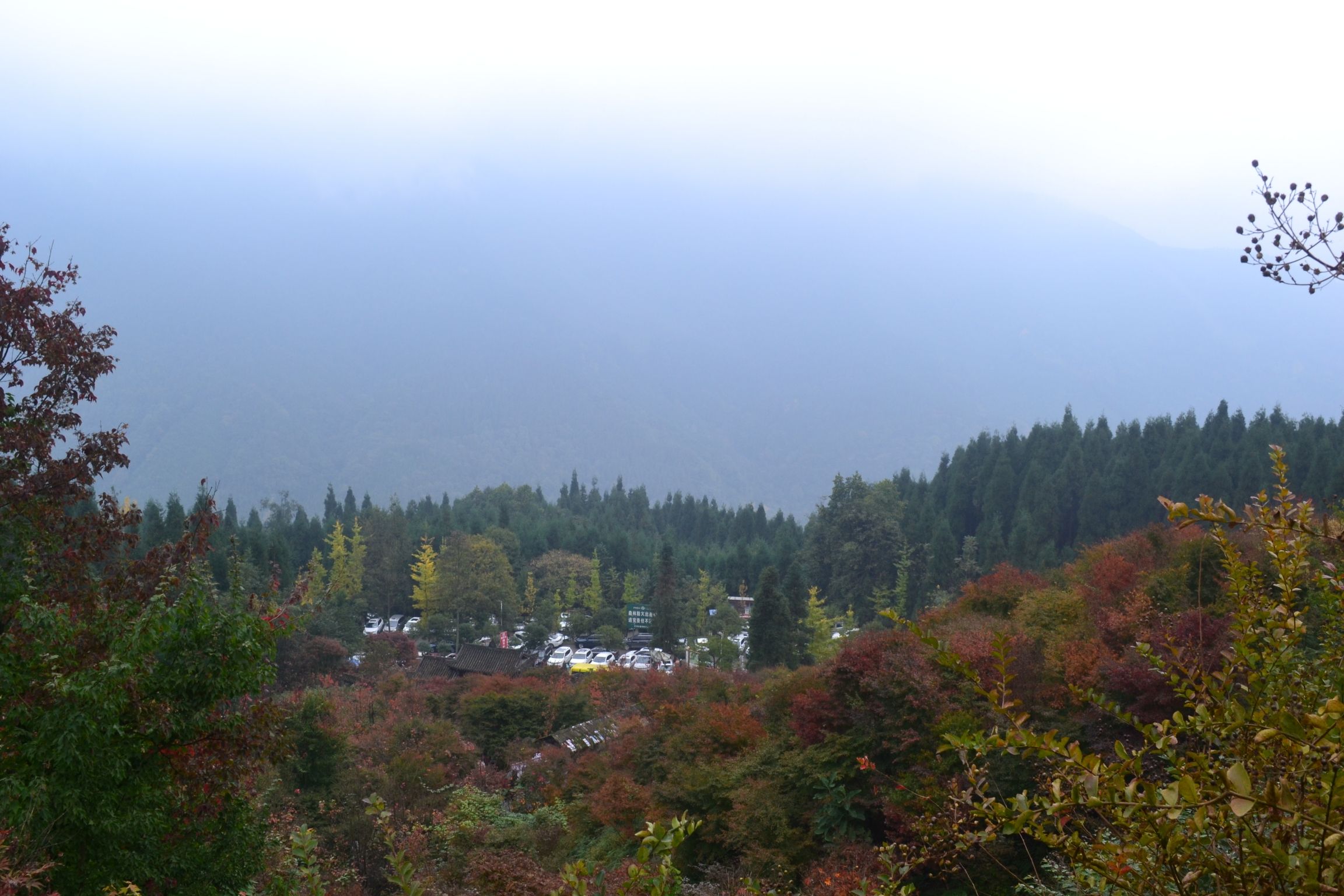 川西红枫岭旅行图片 1