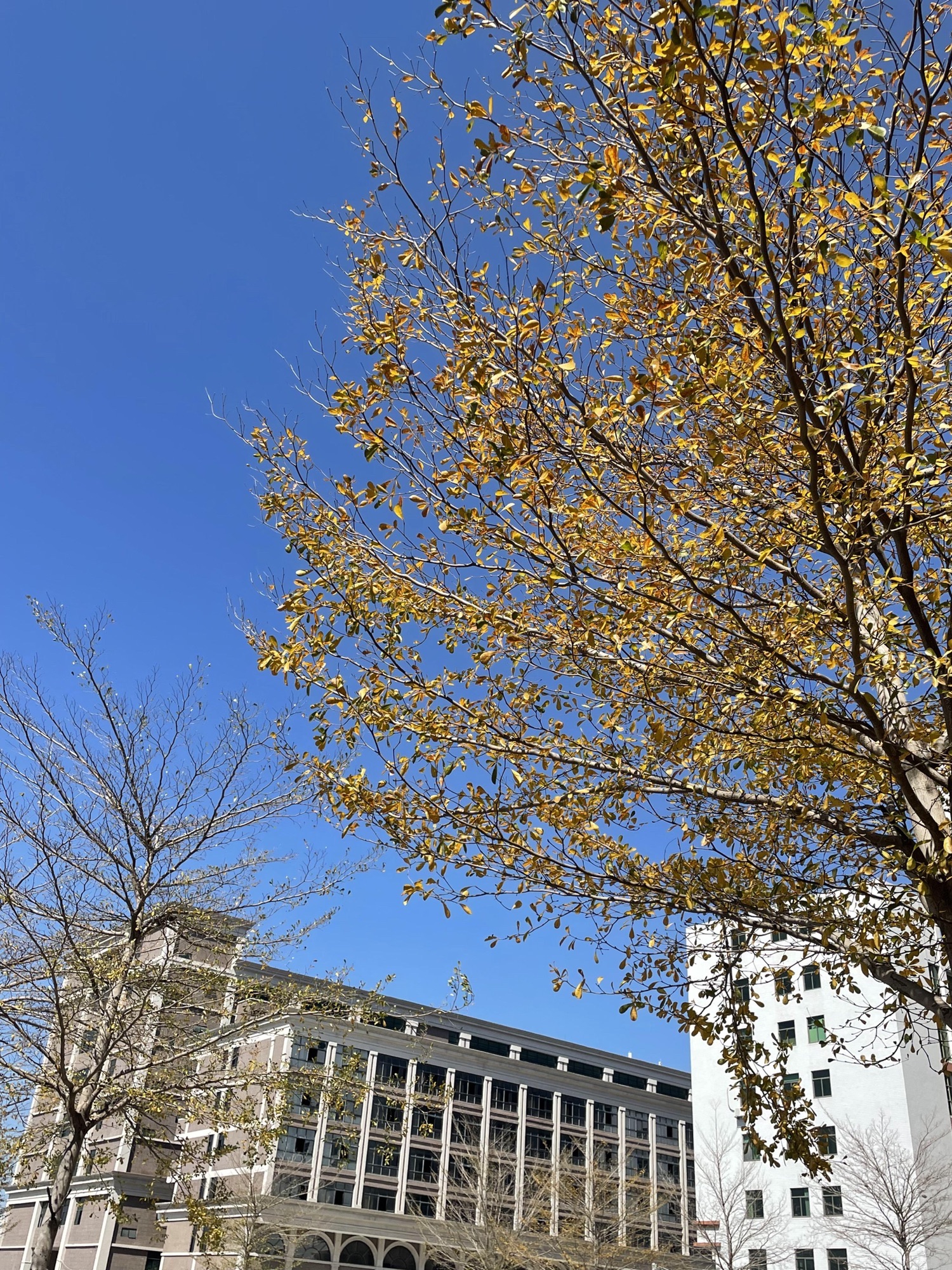 上东浦文化广场旅行图片 1