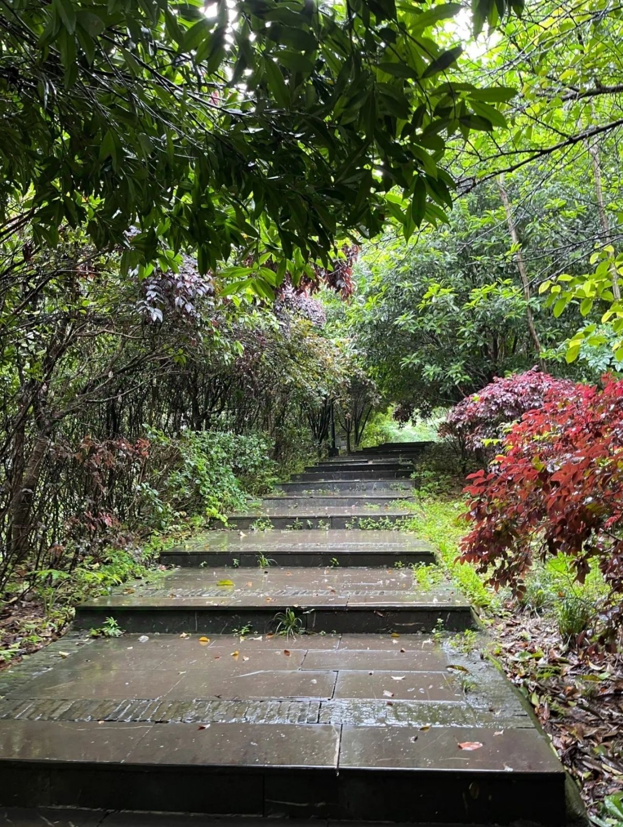 刘仙岭公园旅行图片 2