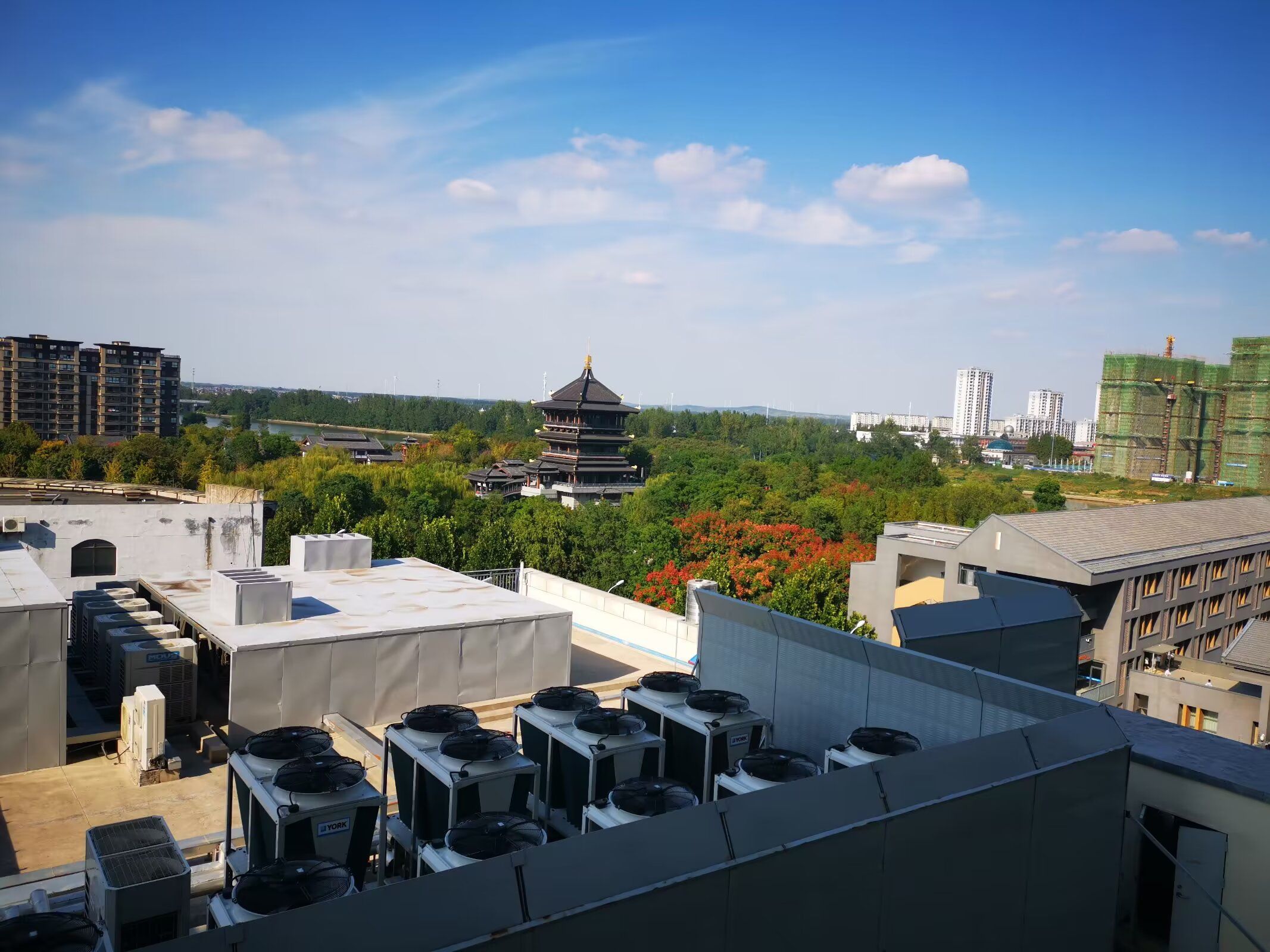 钟吾公园旅行图片 1