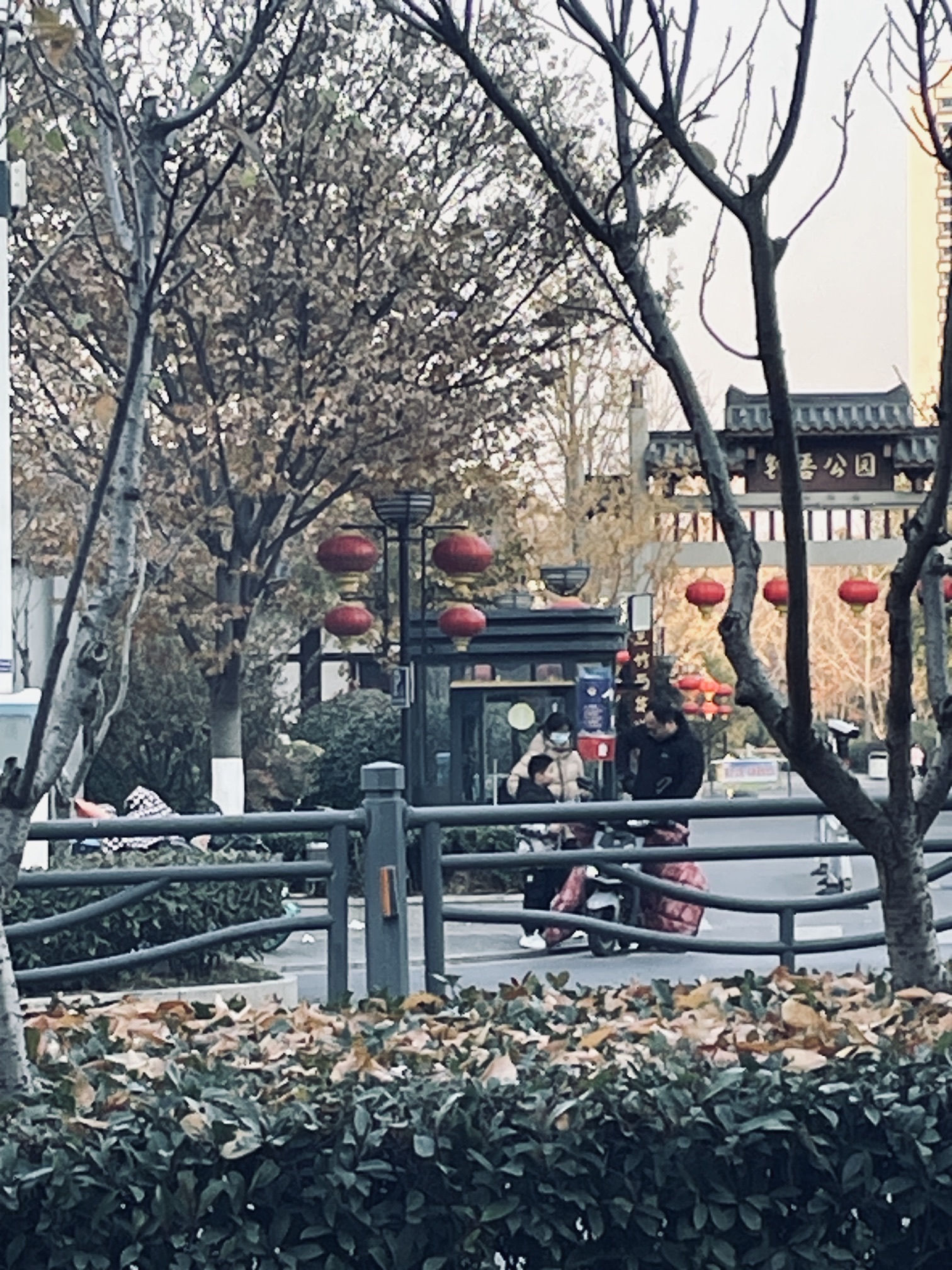钟吾公园旅行图片 3
