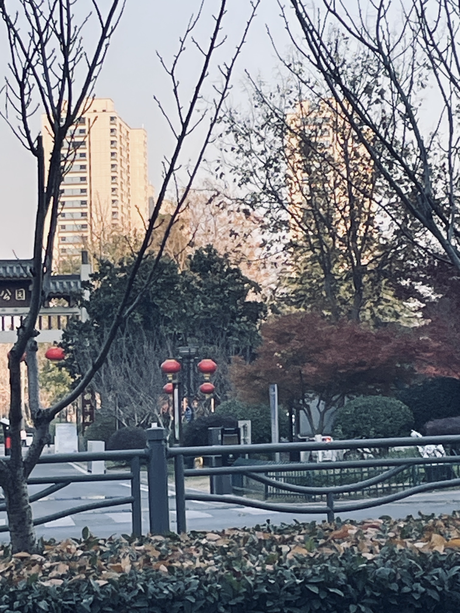 钟吾公园旅行图片