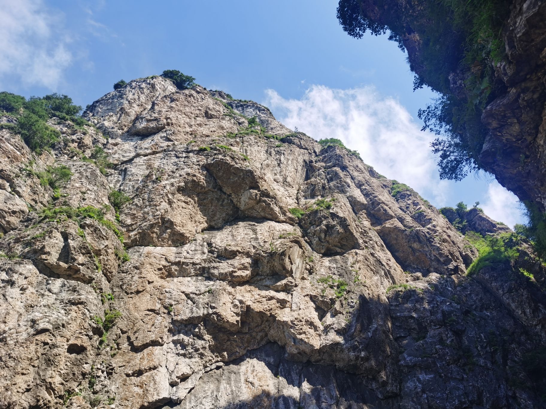 锯齿崖(节理)旅行图片 3