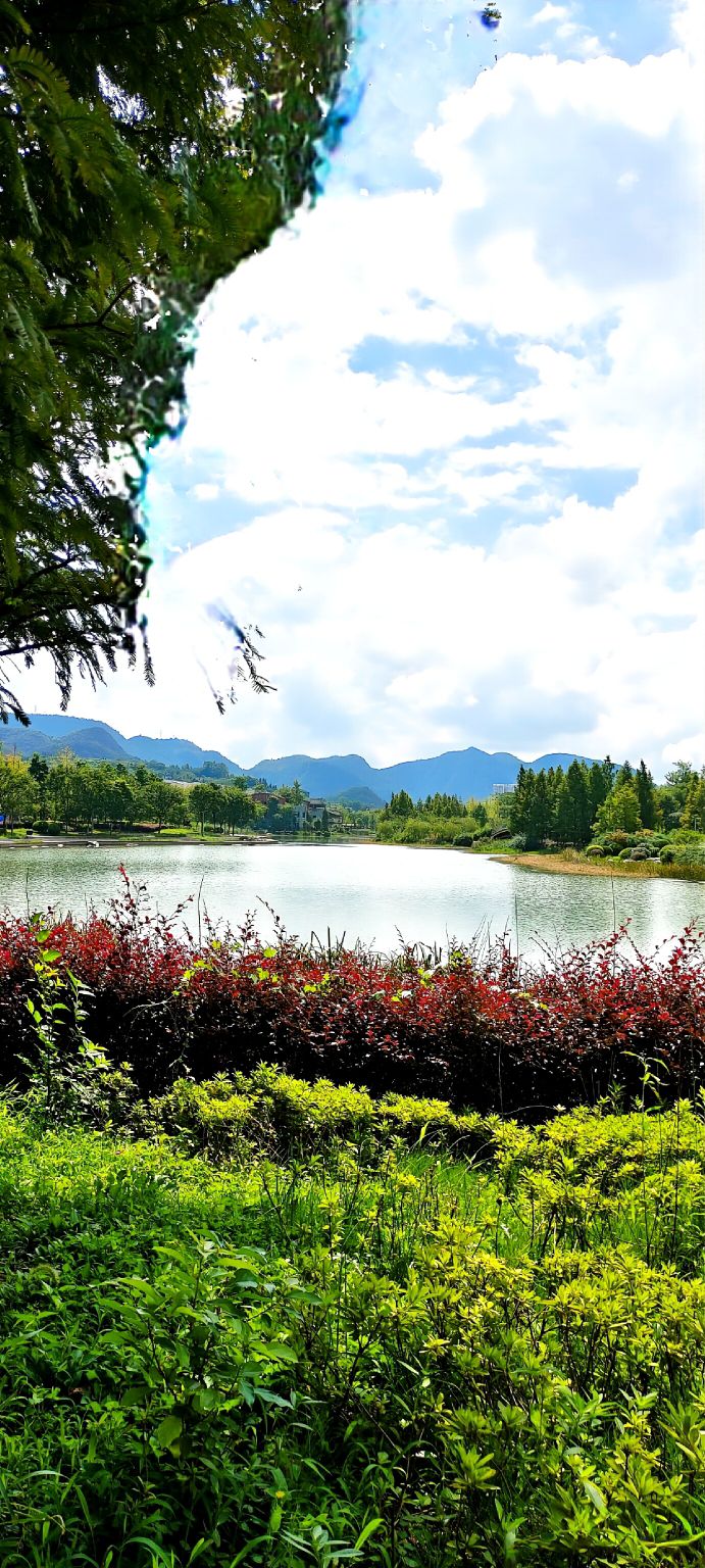 鸣庄潭湿地公园旅行图片 2
