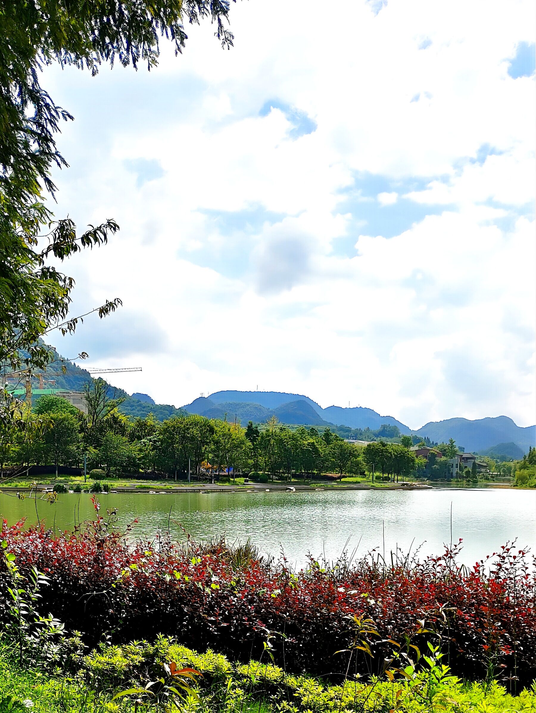 鸣庄潭湿地公园旅行图片 3