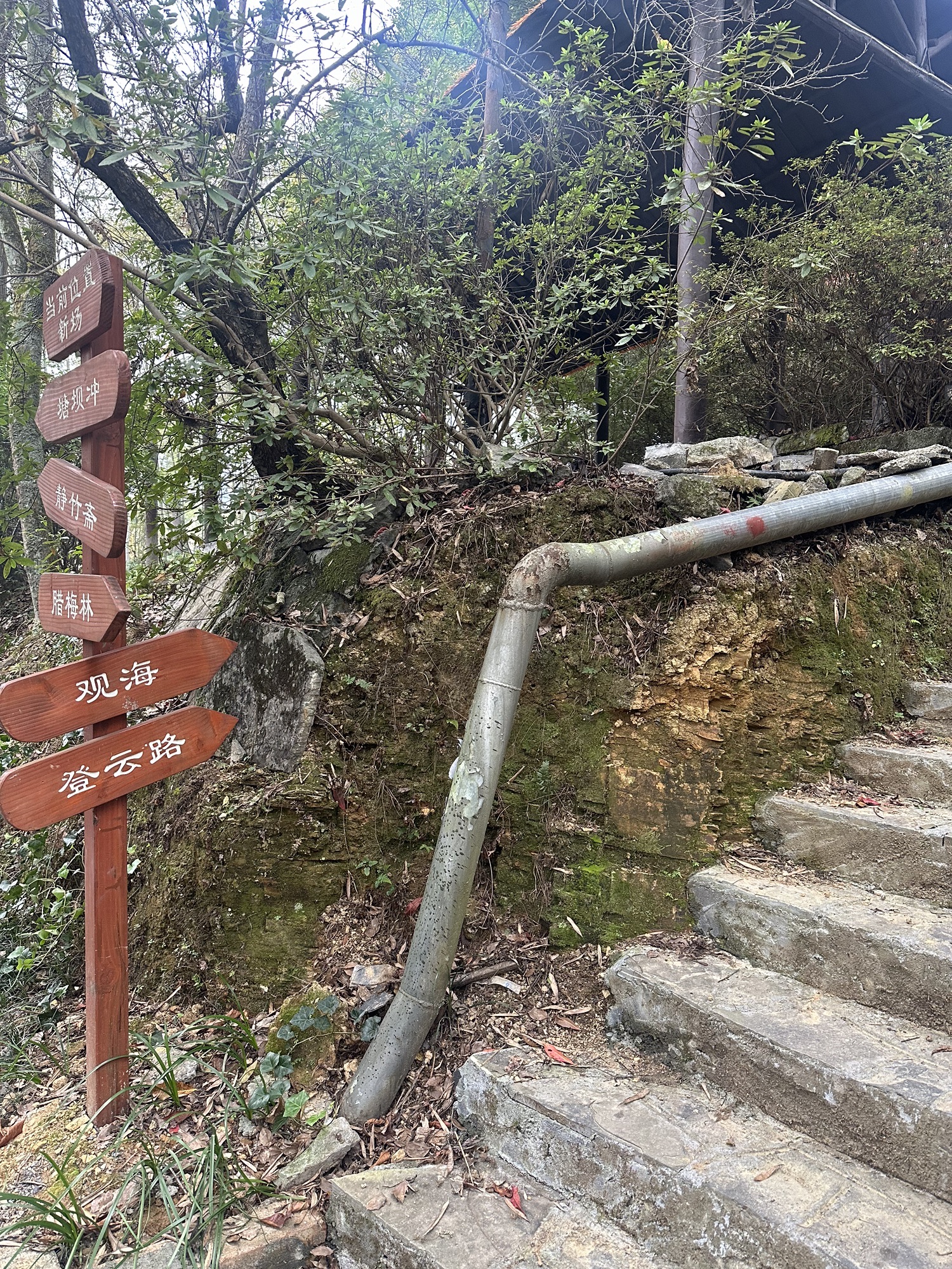 红枫森林公园旅行图片 1
