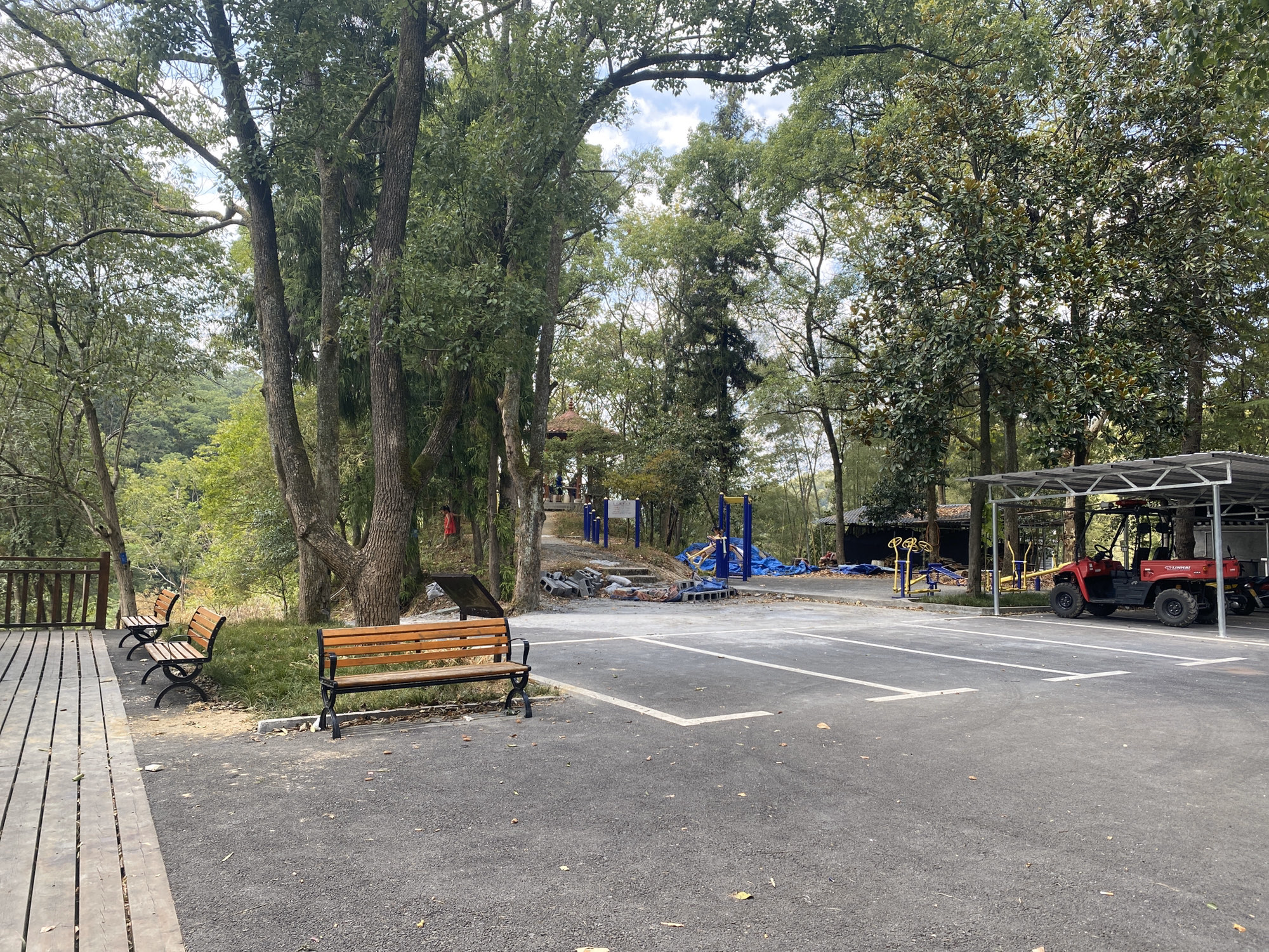 红枫森林公园旅行图片 2