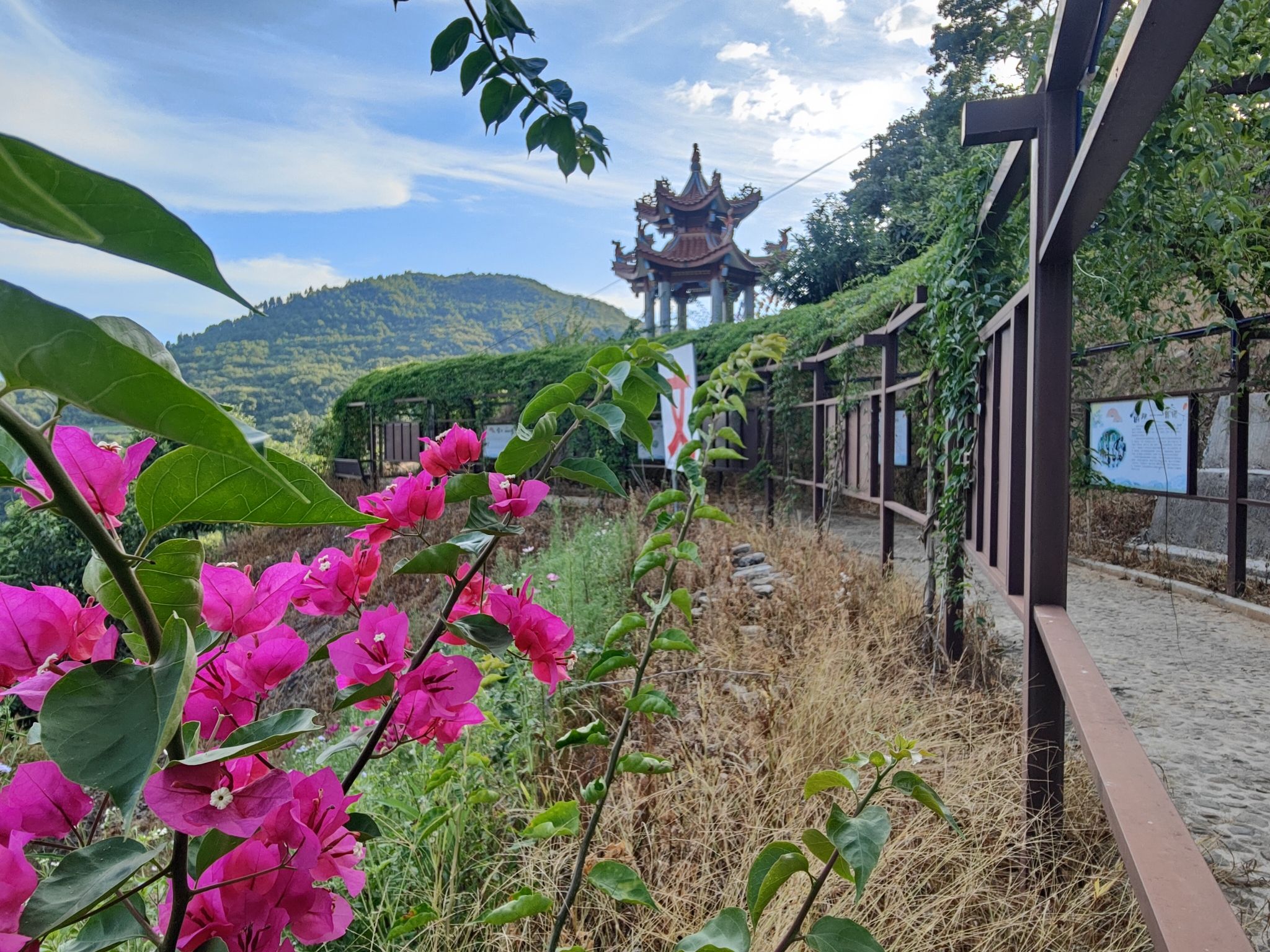 安溪善坛妈祖文化园实景照片