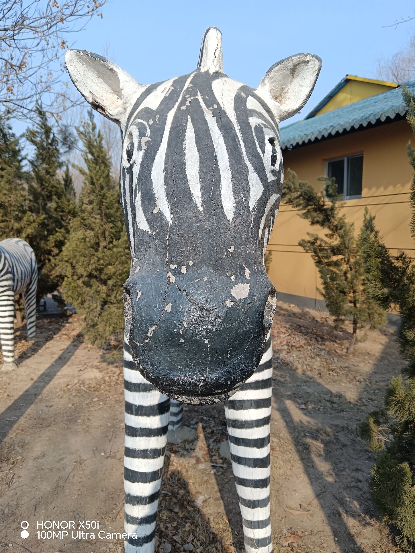 德州动植物园旅行图片 1
