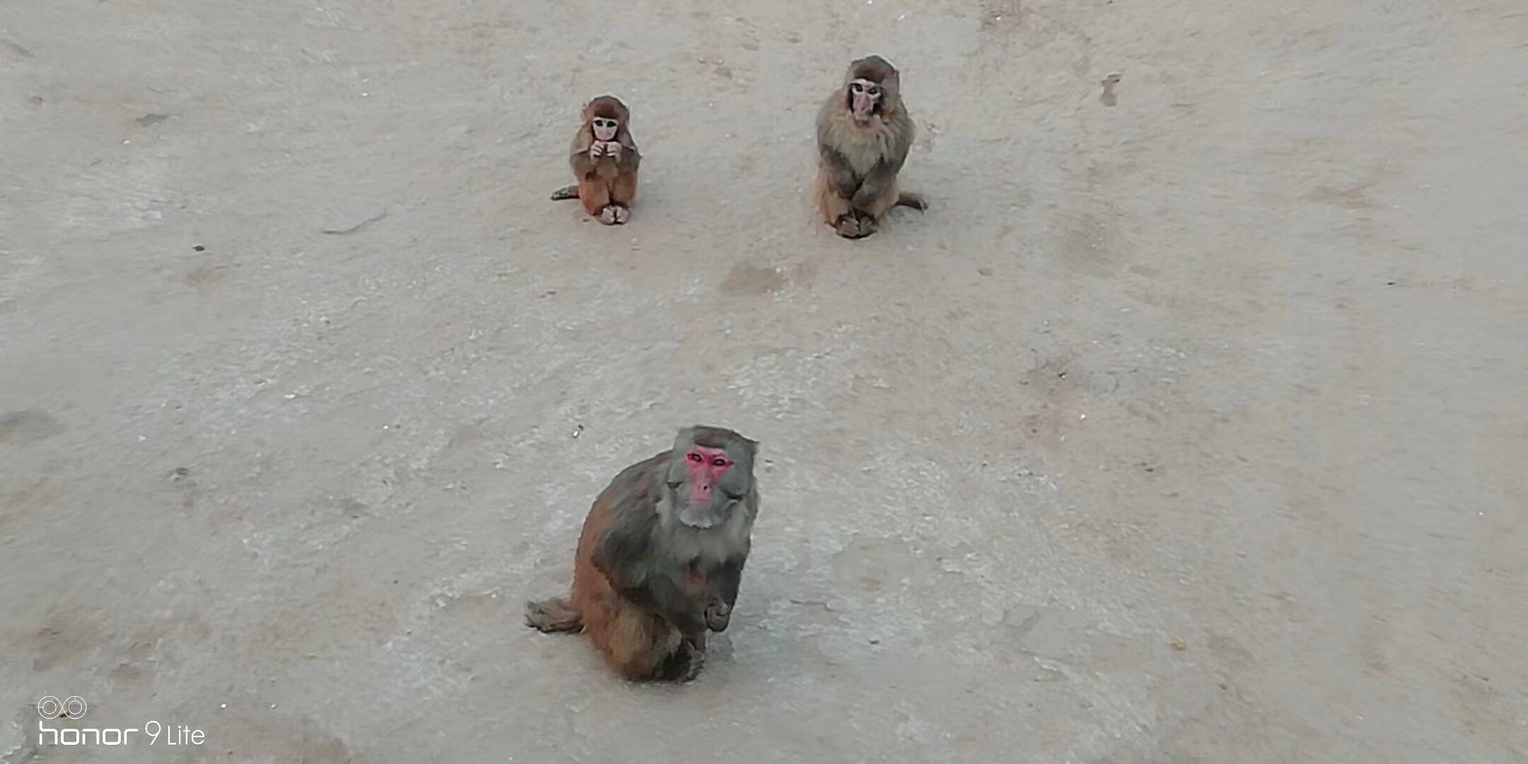 德州动植物园旅行图片 2