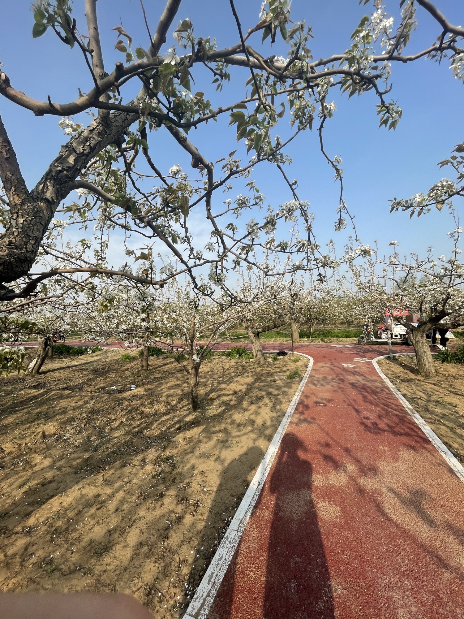 保定市博野县经典路线推荐