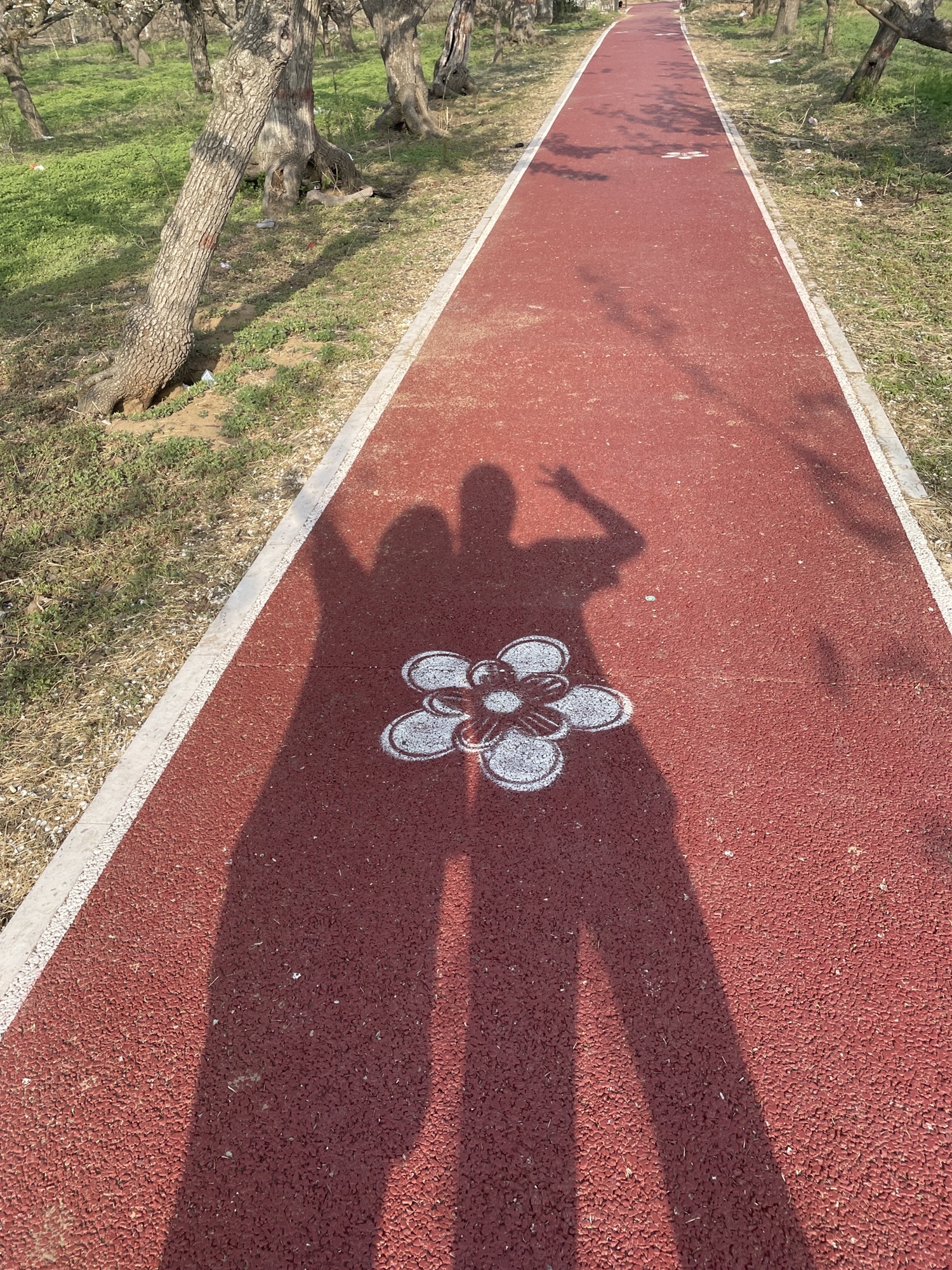 冯村古梨园广场旅行图片 2