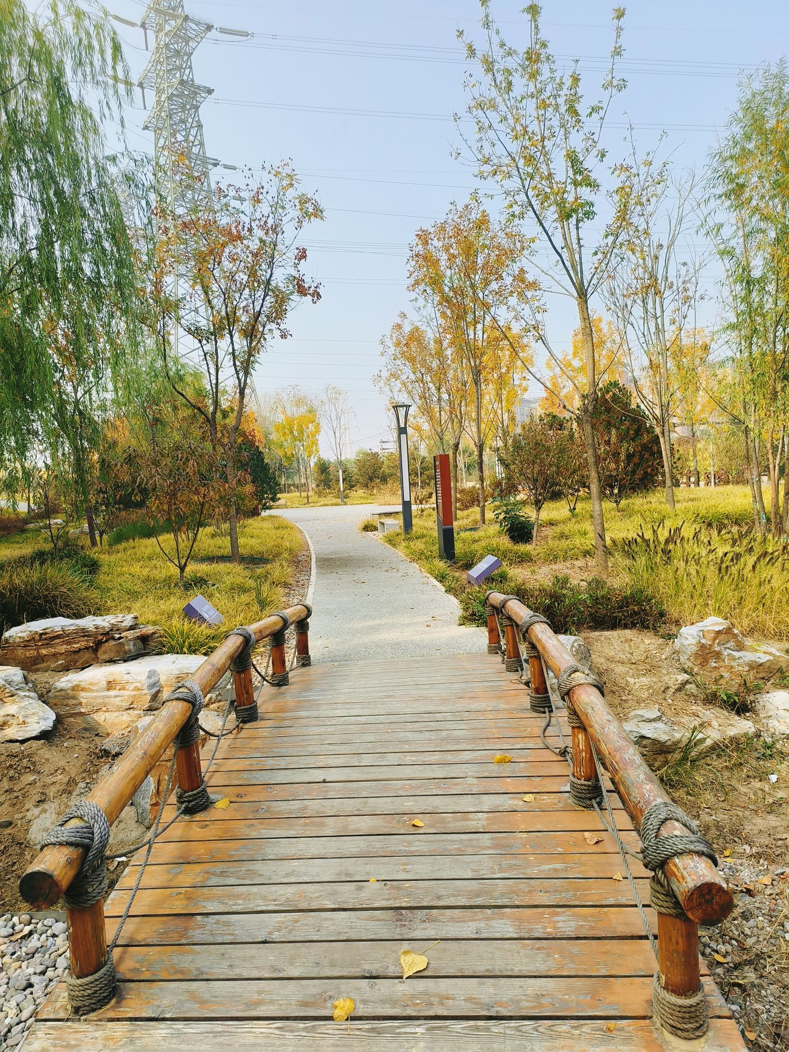 张郭庄休闲公园旅行图片 2