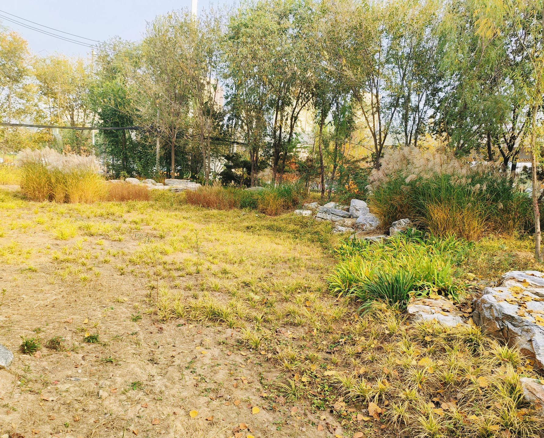 张郭庄休闲公园旅行图片 1
