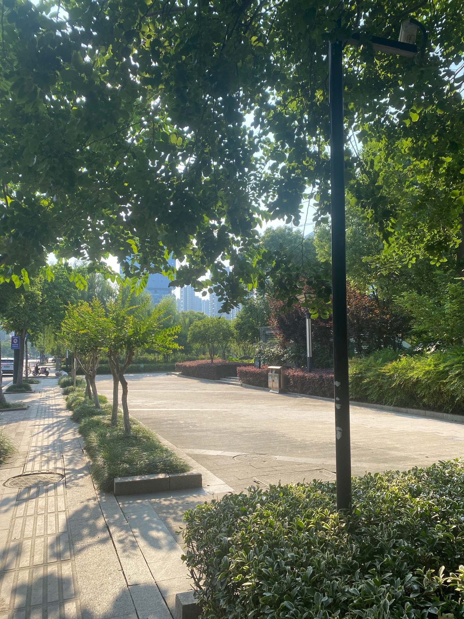 信息港公园旅行图片 2