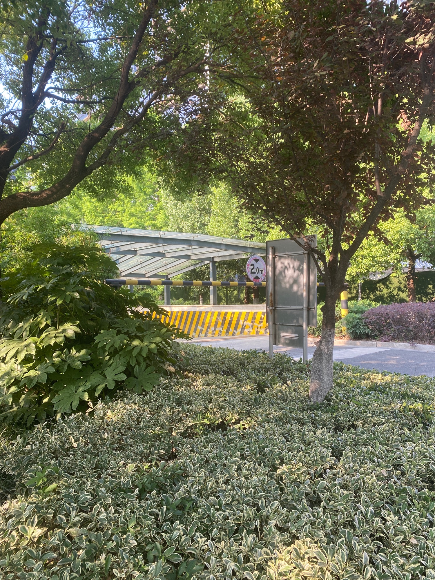 信息港公园旅行图片 3
