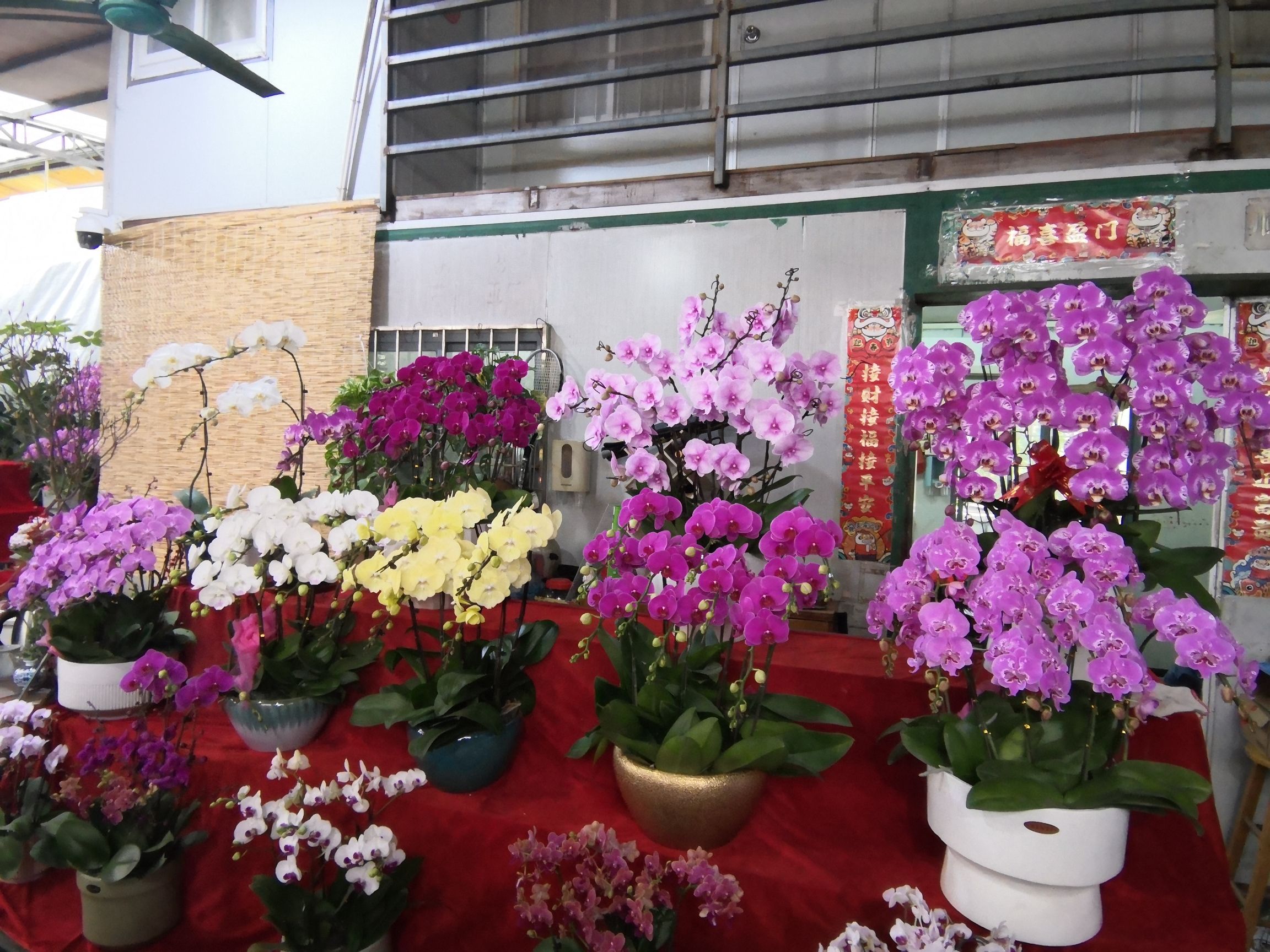 东江花卉世界