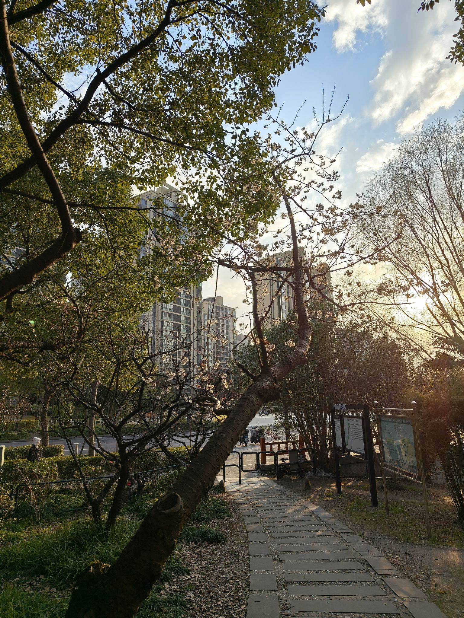 新江湾湿地生态观鸟拍鸟基地旅行图片 3
