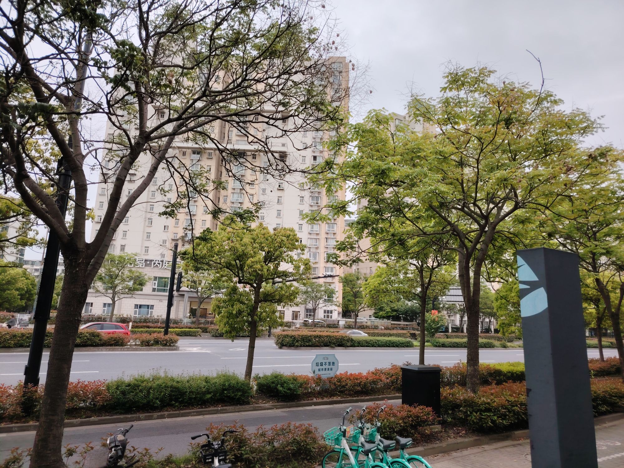 新江湾湿地生态观鸟拍鸟基地旅行图片 2