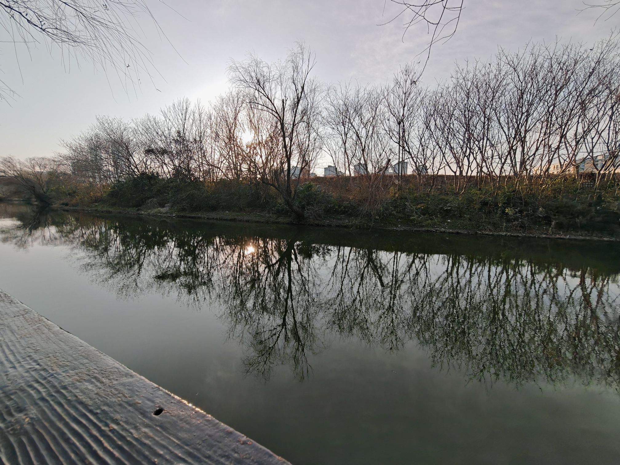 新江湾湿地生态观鸟拍鸟基地旅行图片 1