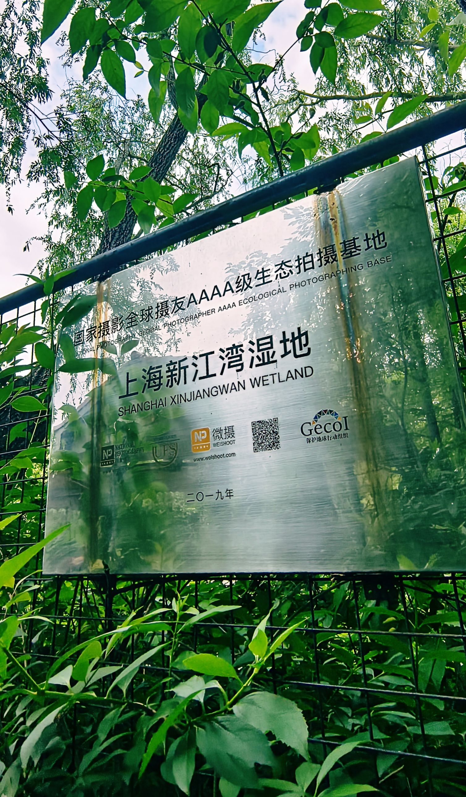 新江湾湿地生态观鸟拍鸟基地旅行图片 3