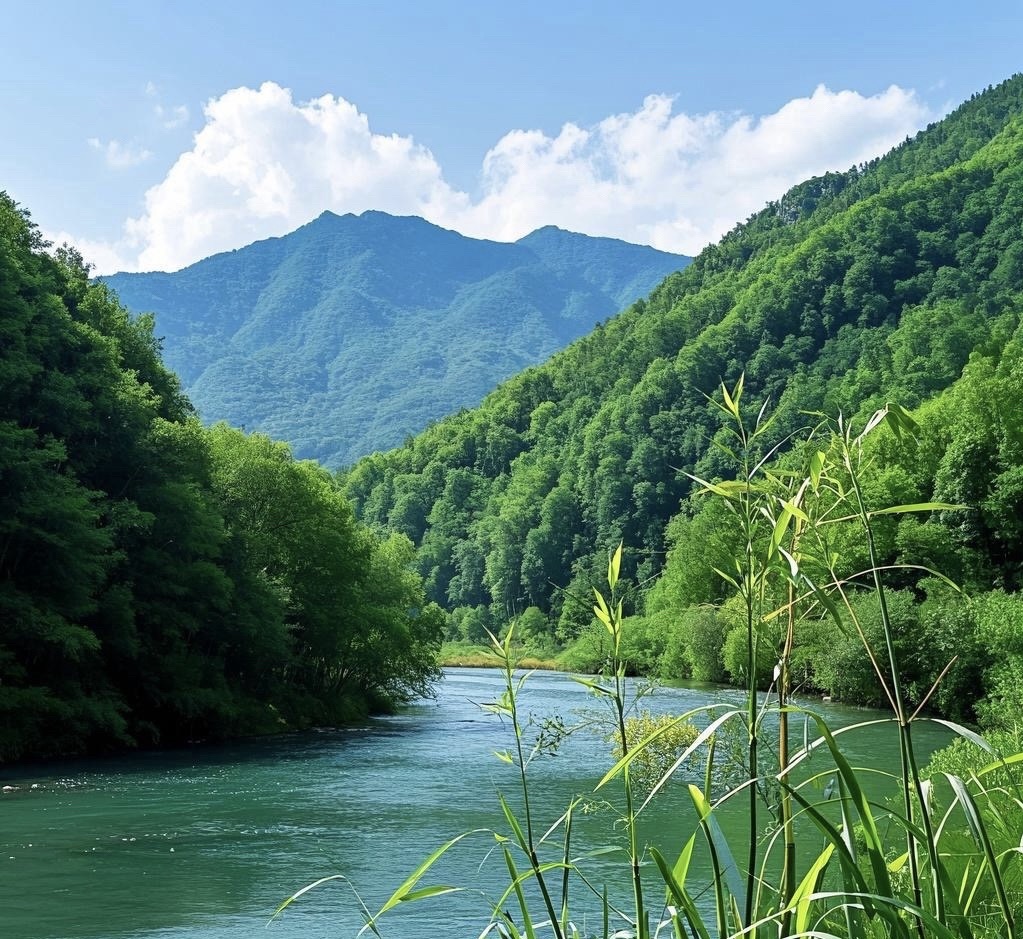 江西省十八湾省级森林公园旅行图片 2