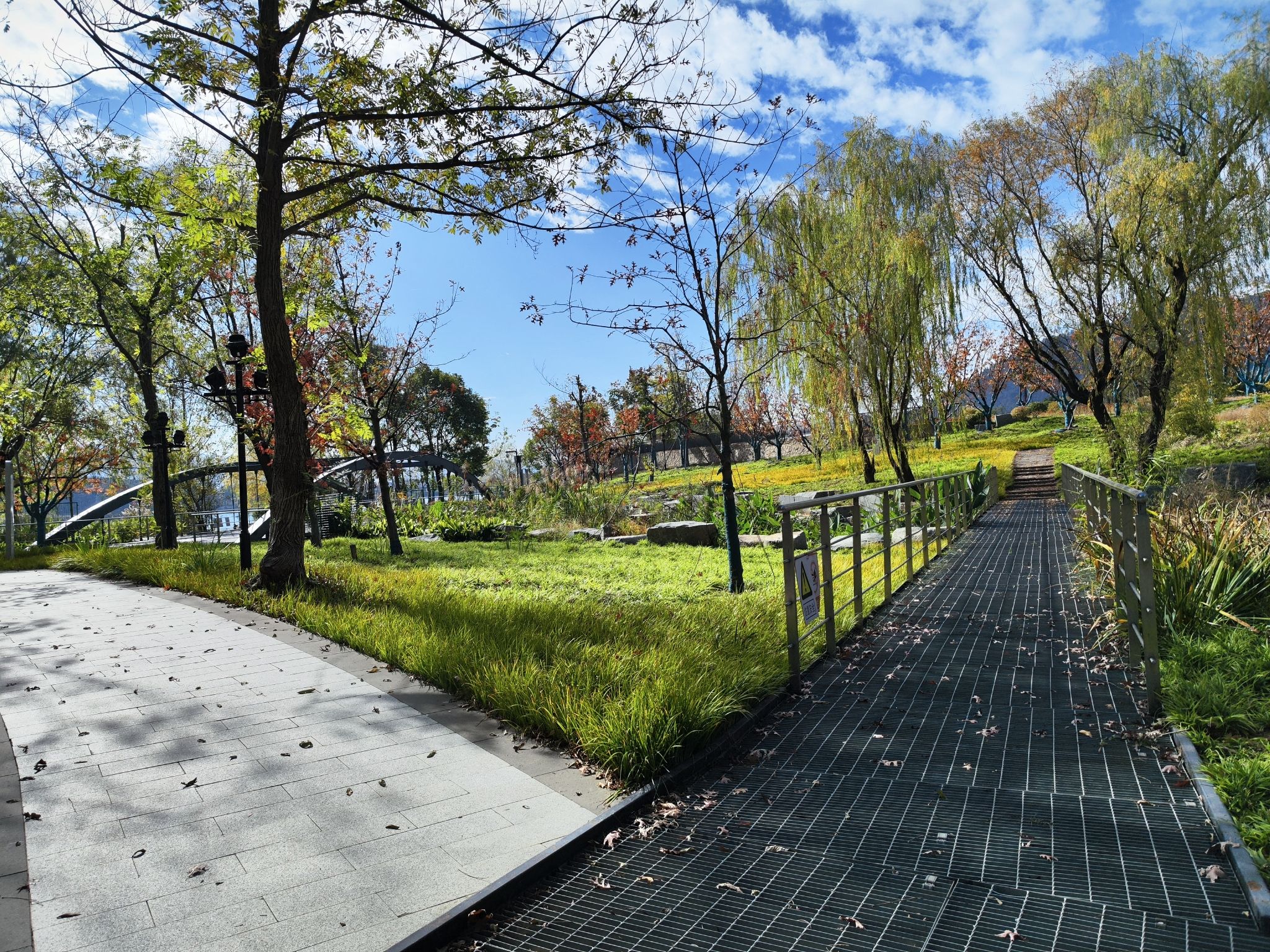 北支江公园旅行图片 2