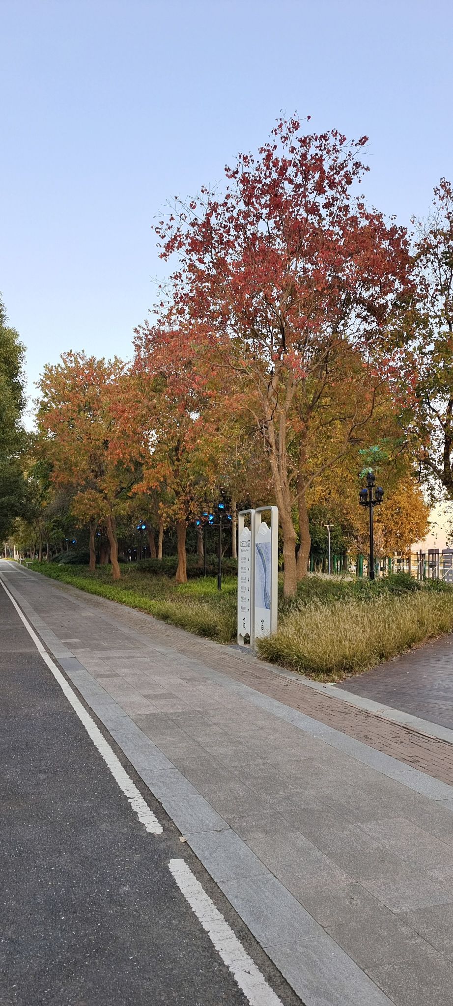 北支江公园旅行图片 2
