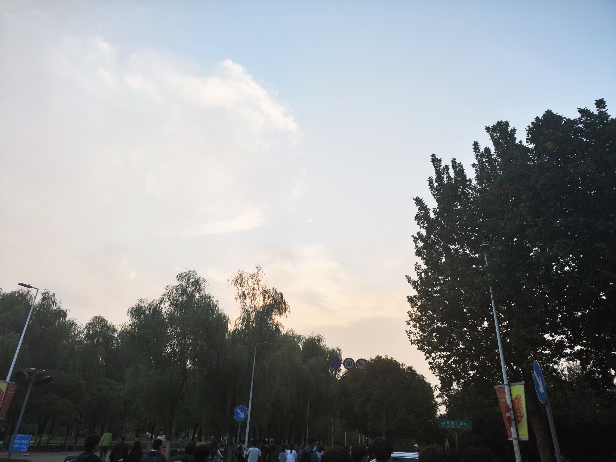 平舆县植物园旅行图片 1