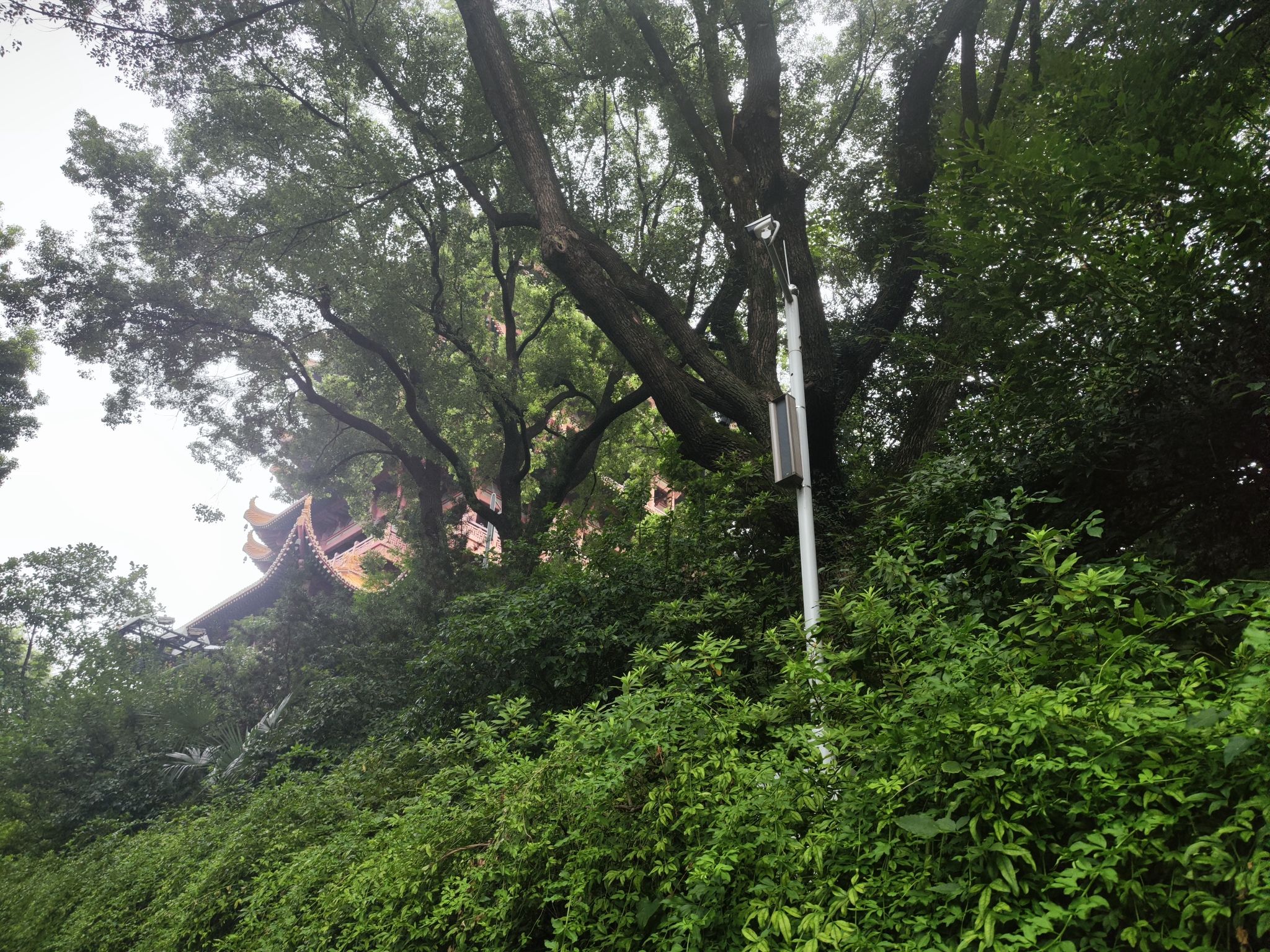 平舆县植物园旅行图片 2