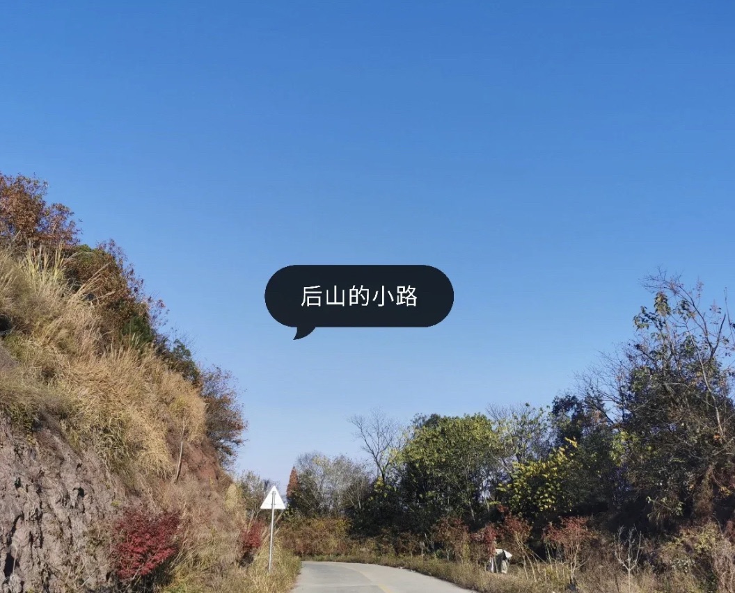 九鼎公园旅行图片 2