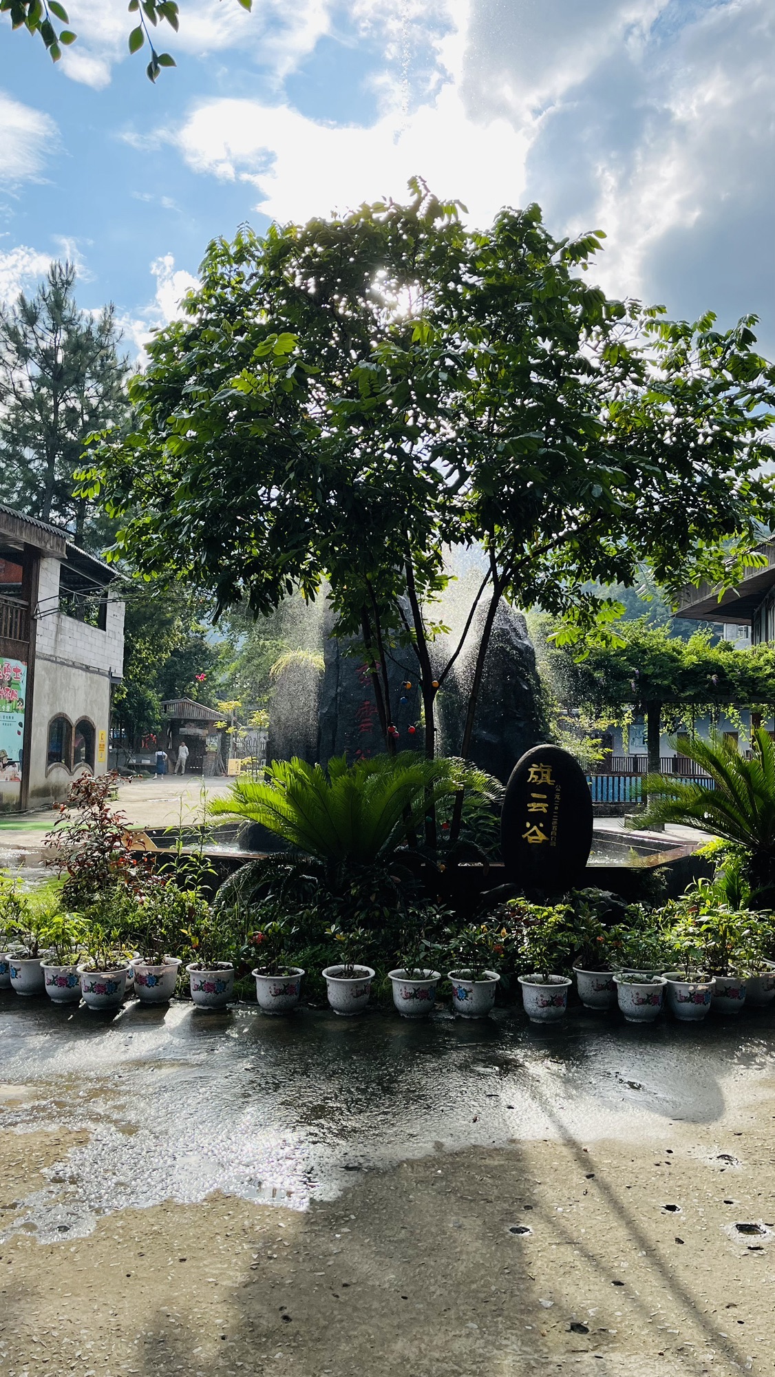 旗山旗云谷旅行图片 1