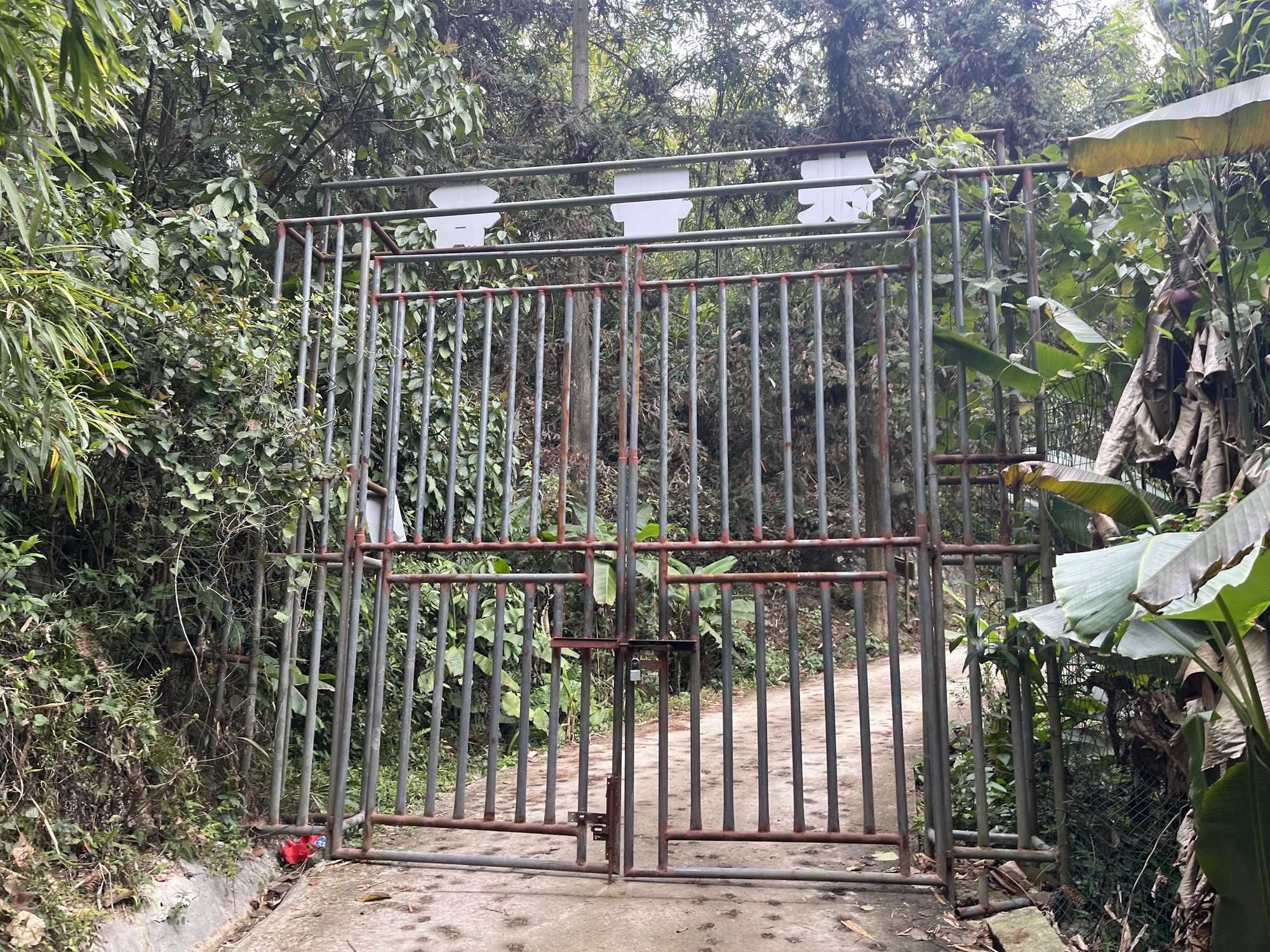 旗山旗云谷旅行图片 1