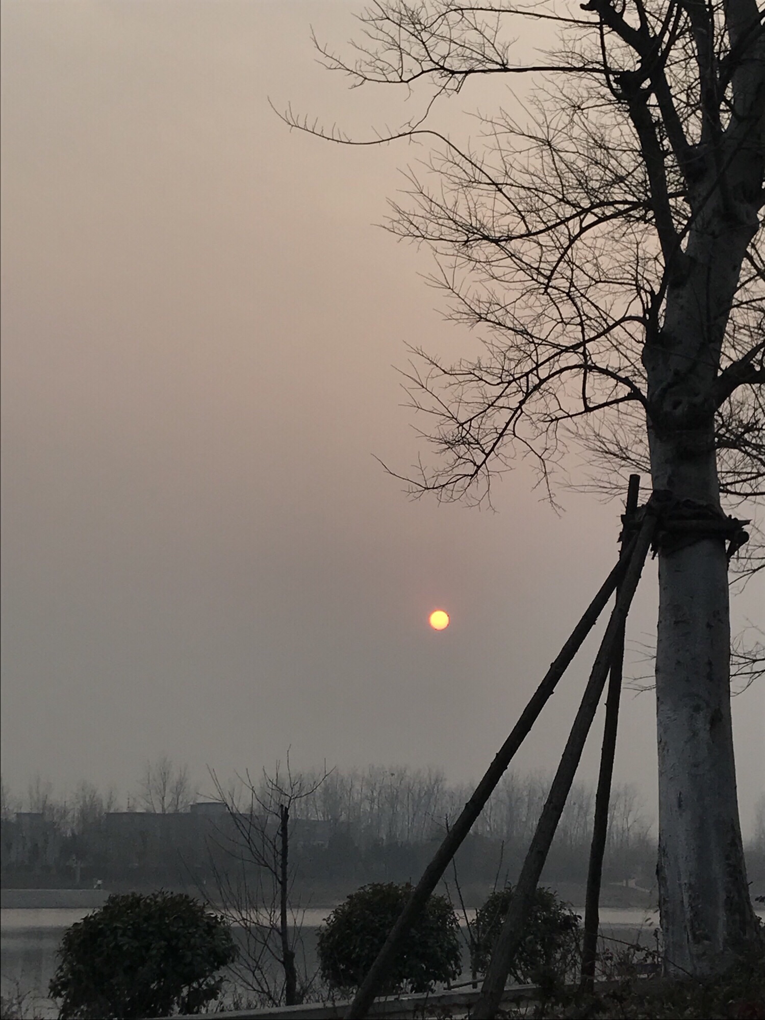 南湖公园旅行图片 1