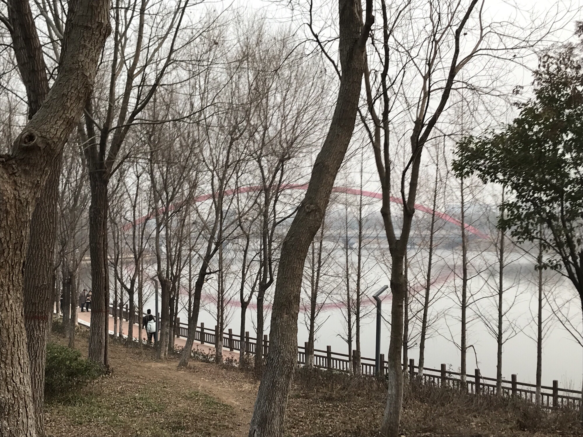 南湖公园旅行图片 3