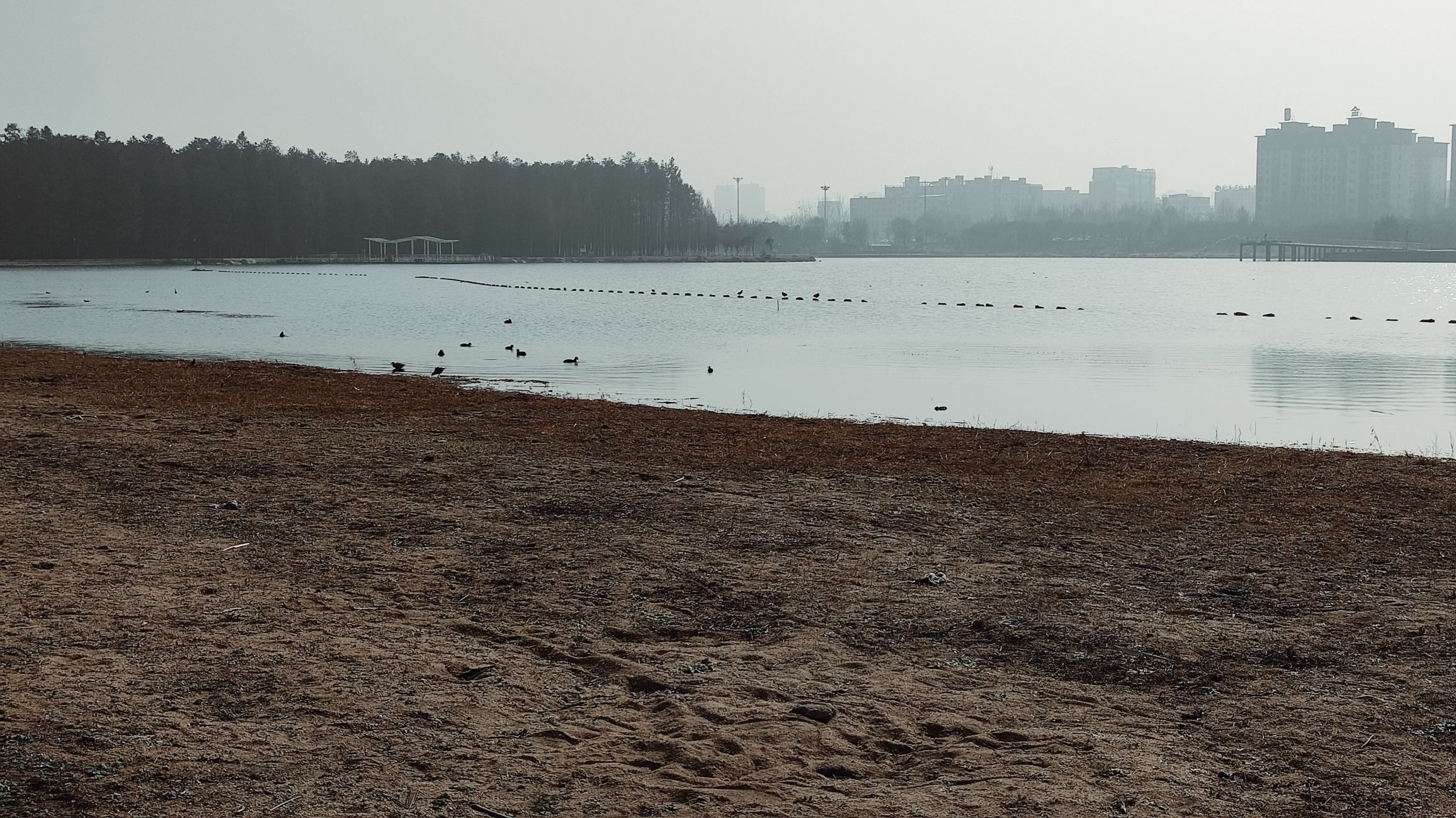 南湖公园旅行图片 2