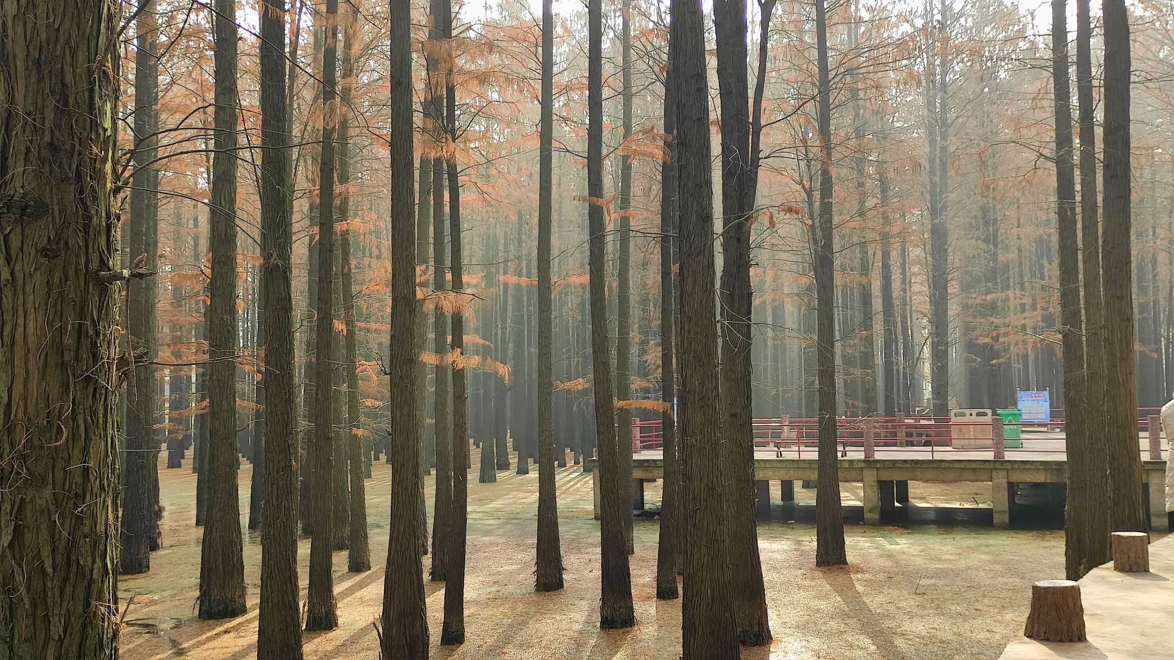 南湖公园旅行图片 3