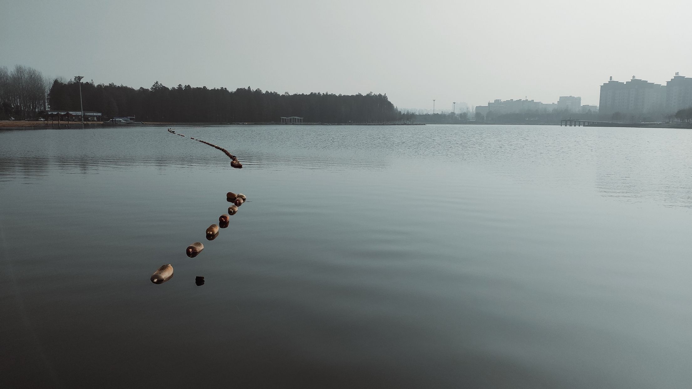 南湖公园旅行图片 1