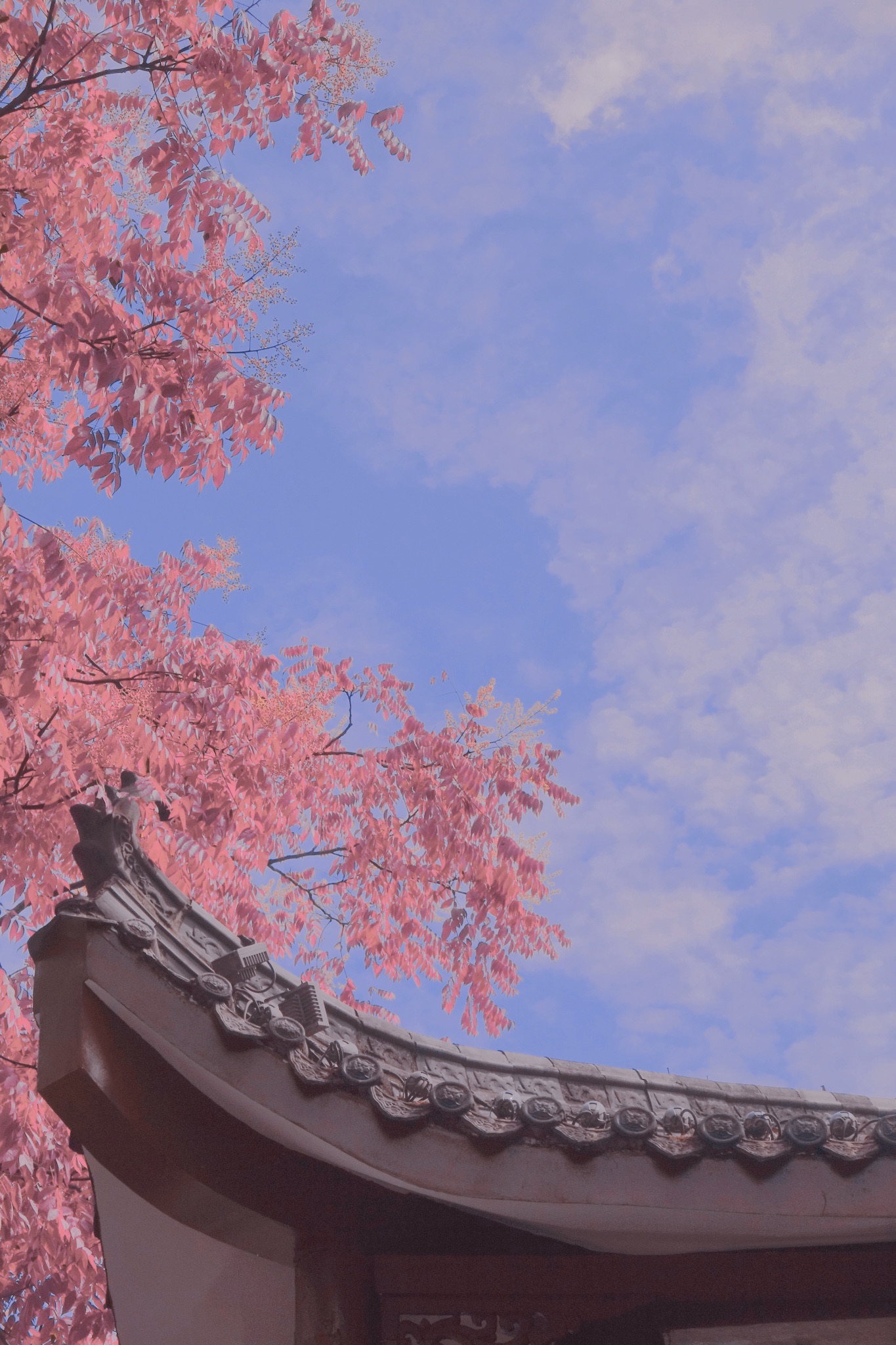 东湖公园