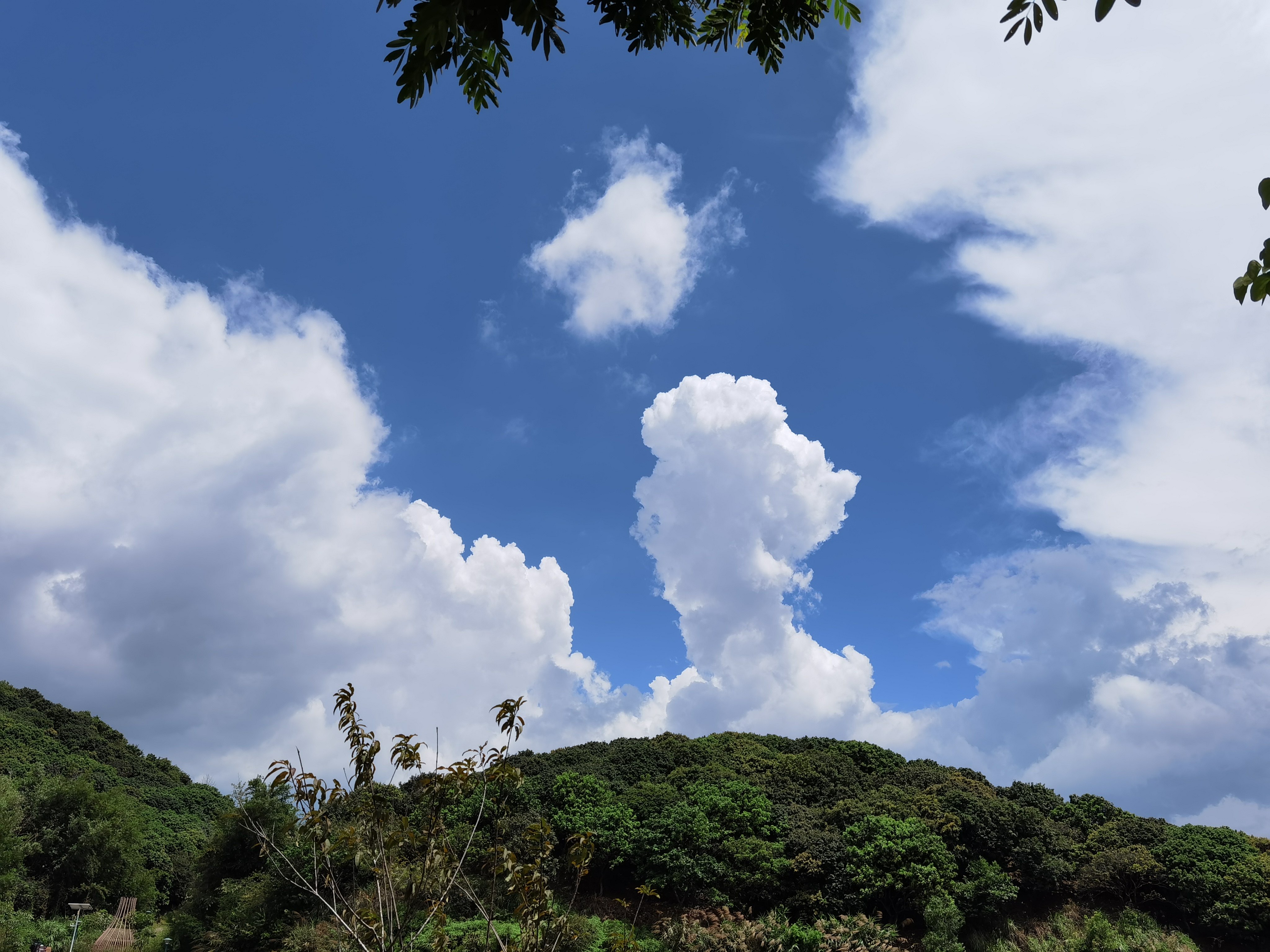 罗田森林公园