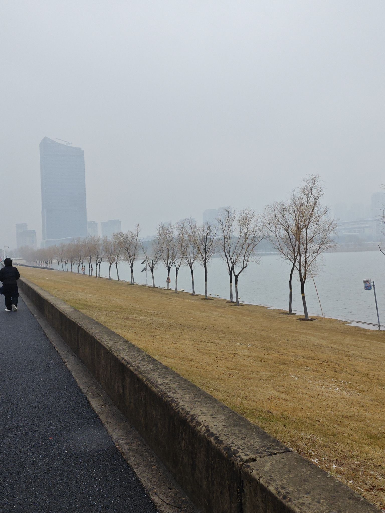蜀西湖公园旅行图片 2