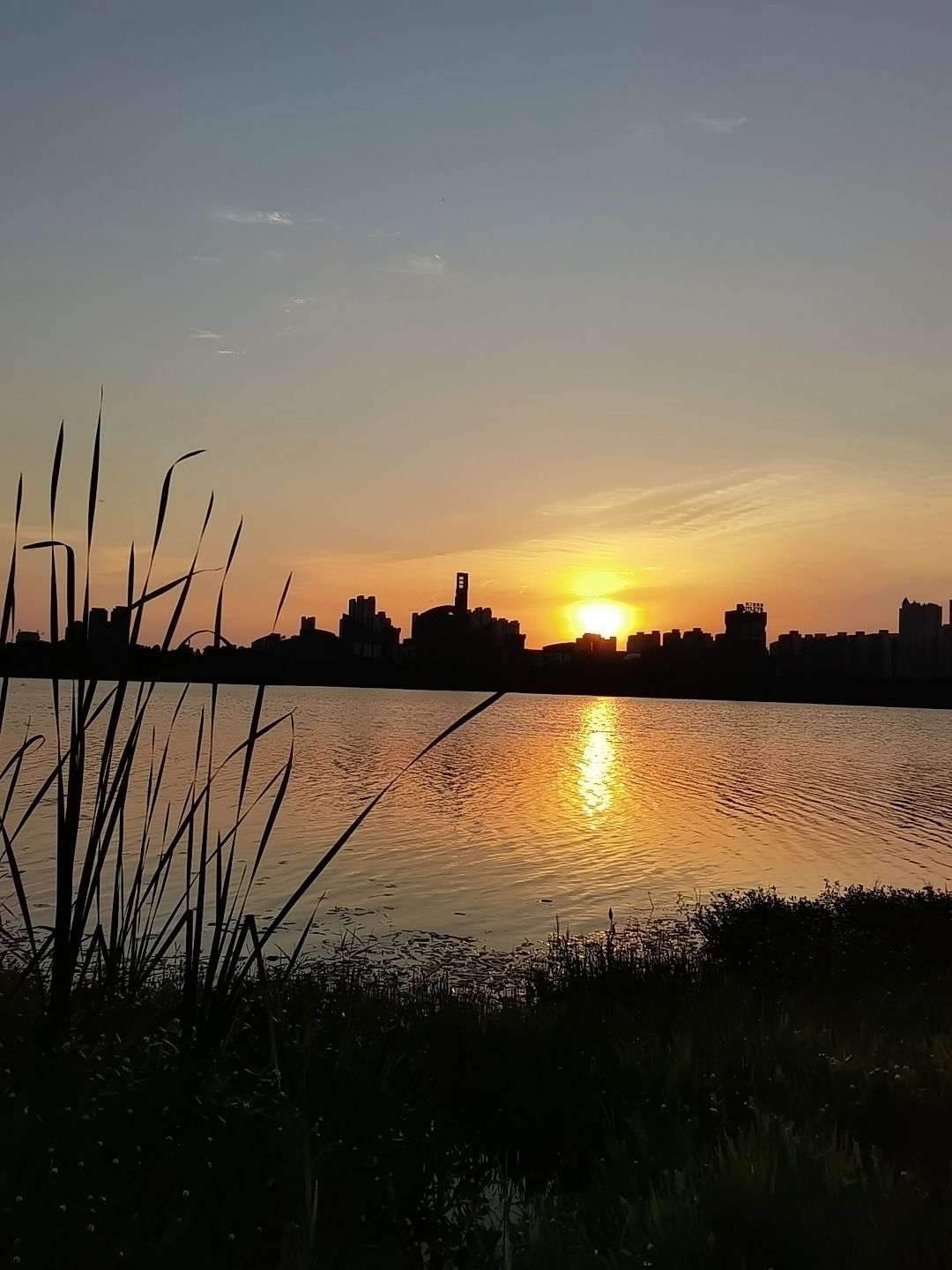 蜀西湖公园旅行图片 3